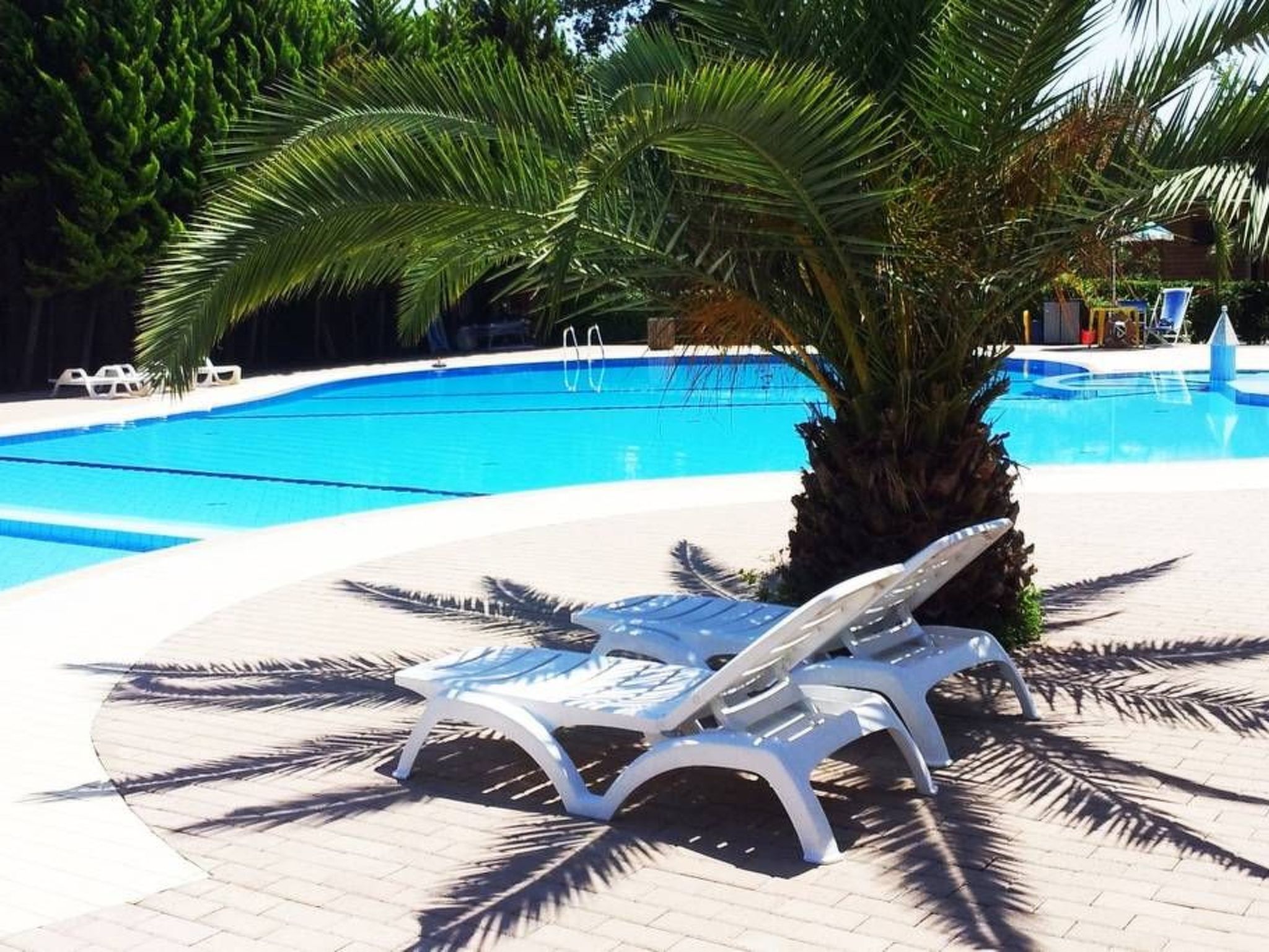 Mobilheim am Meer in der Toskana in der Nähe von Pisa, Lucca-Draußen