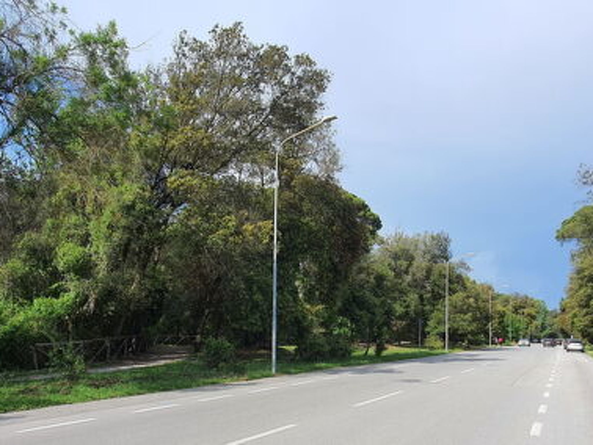 La Butterfly - Image-tags.info