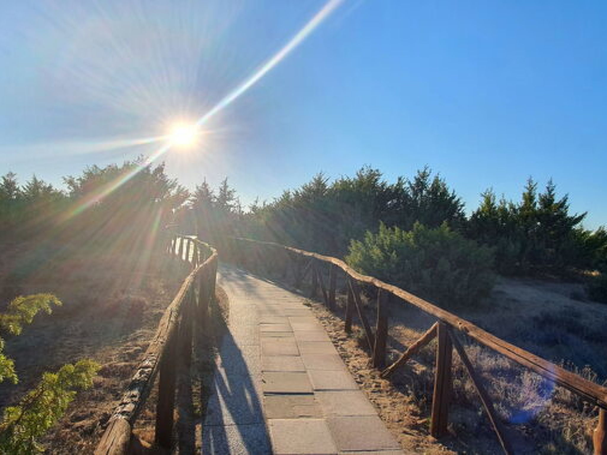 La Butterfly - Image-tags.info