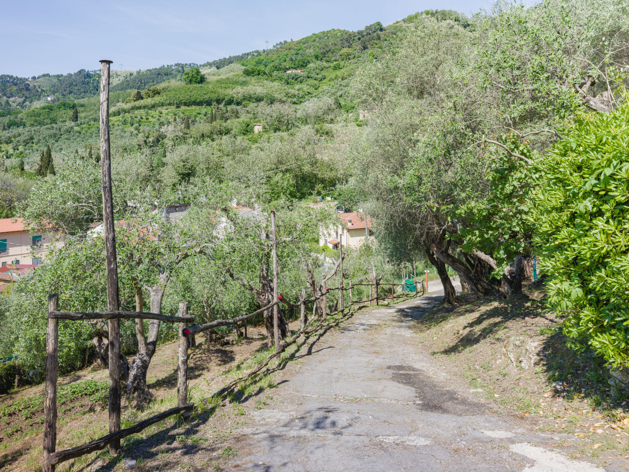 Bella Casina - Buiten