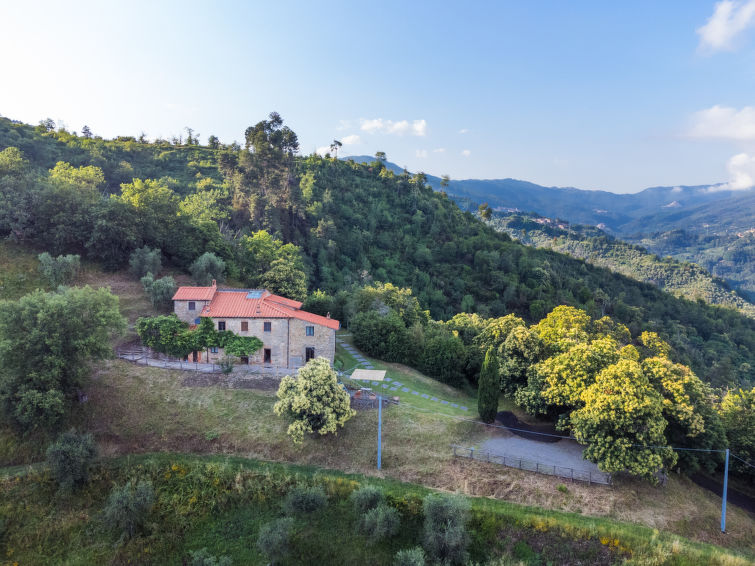 Podere Cima a Zano / Apt.Alfiero