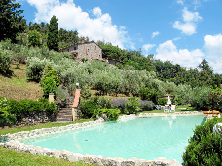 La Cupola: Tulipano