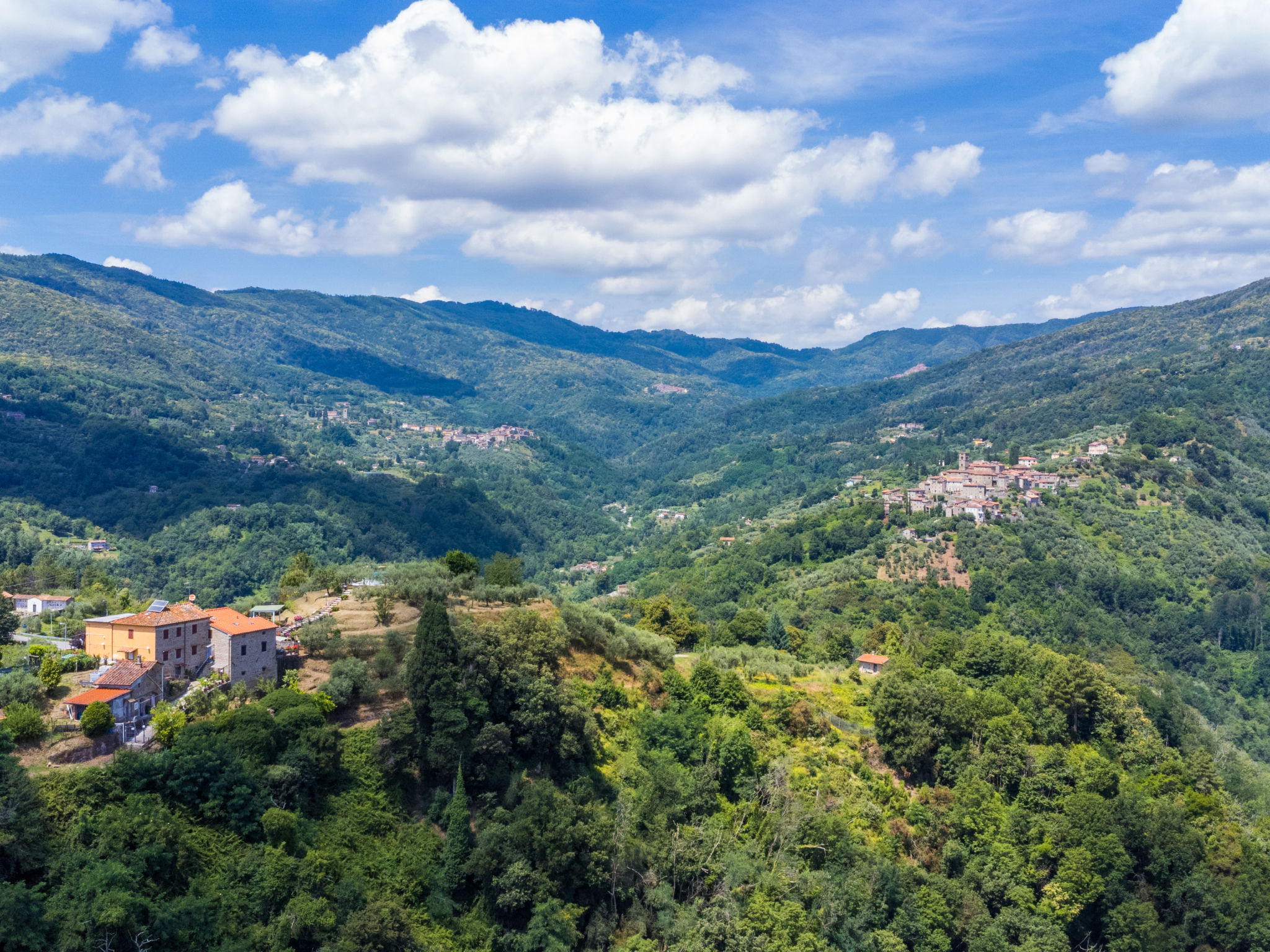 Poggetto Pellegrini: Authentiek vakantiehuis met zwembad in heuvels van Toscane - foto 60