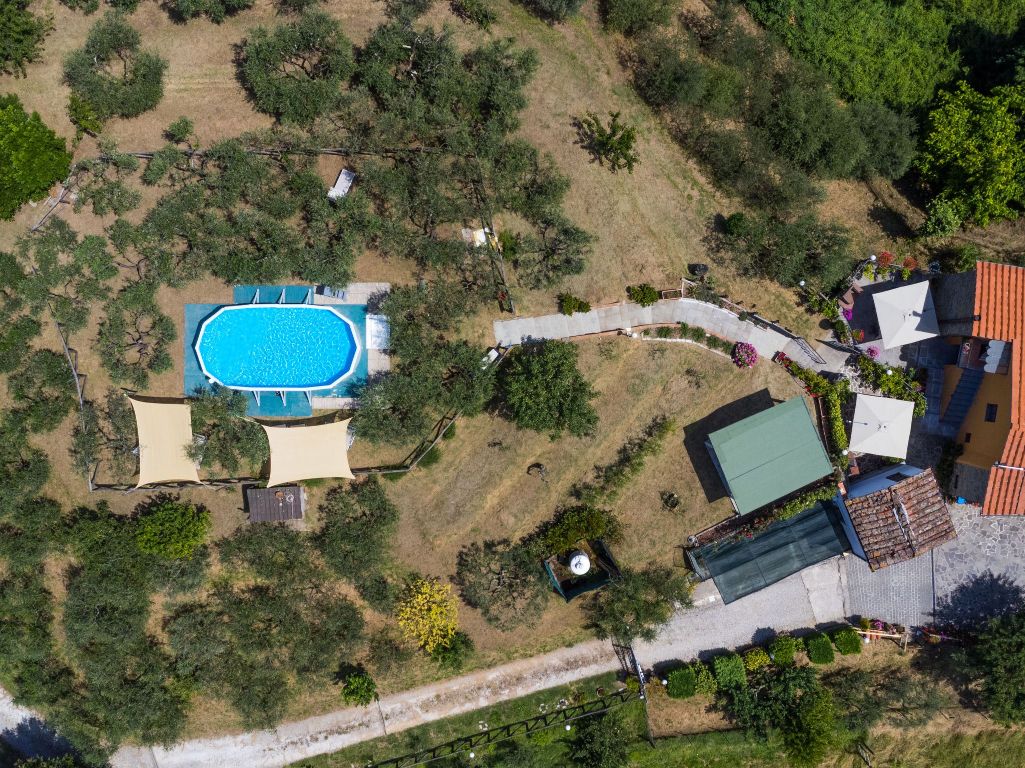 Poggetto Pellegrini: Authentiek vakantiehuis met zwembad in heuvels van Toscane - foto 59