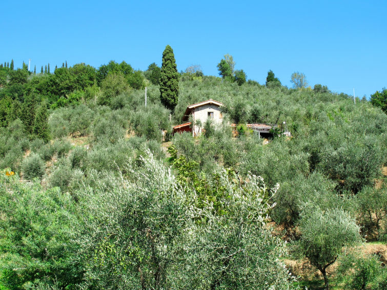 Casa di Iacopo (MTM160)