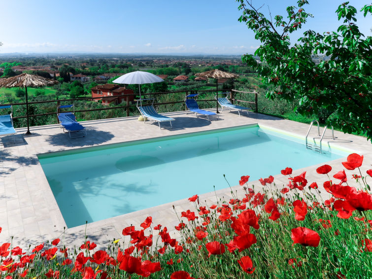 Search and Stay destination Provincia di Pistoia, Toscana - Italy from AU$ 309. Agrumi