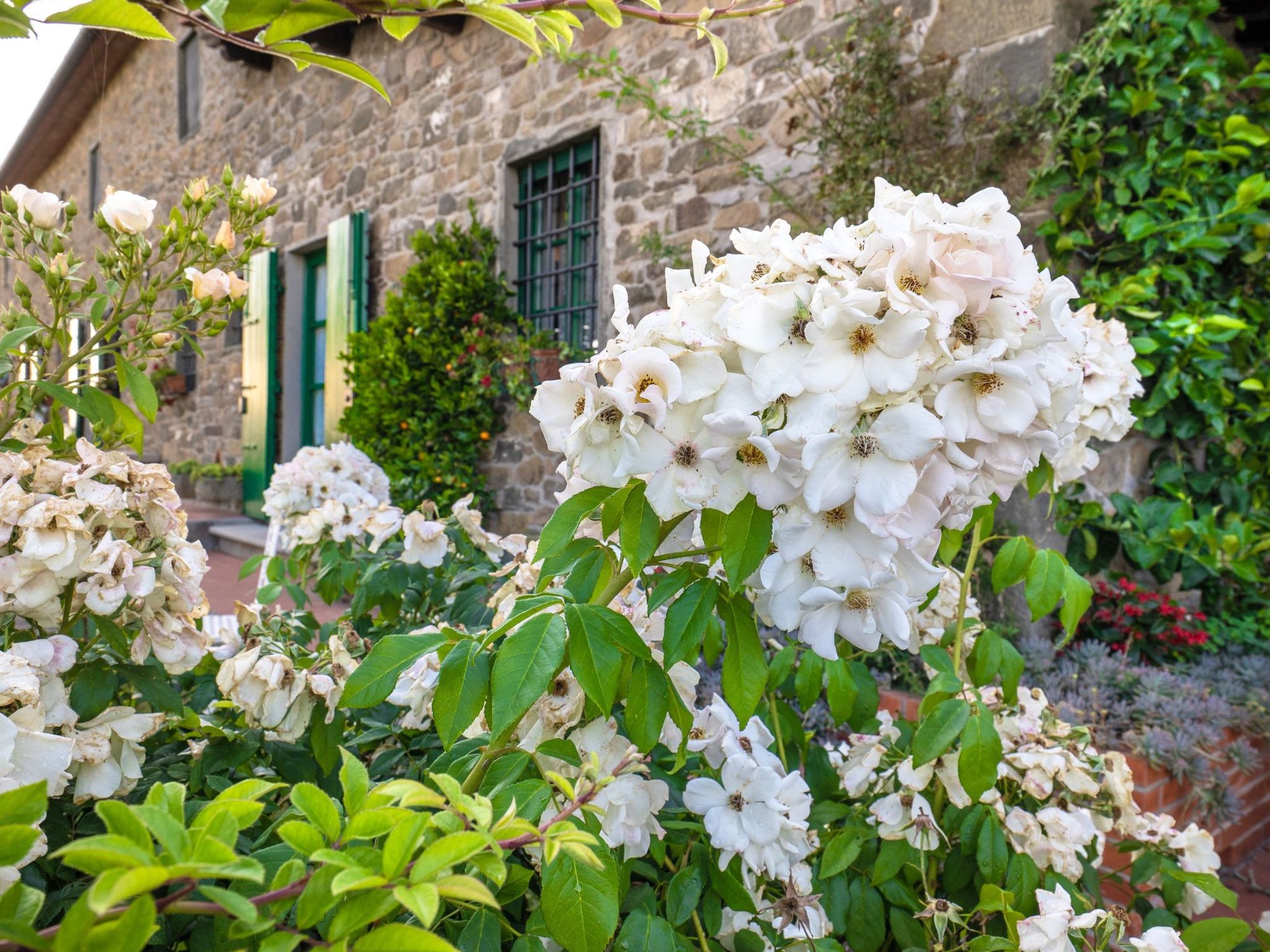 Mit Privatparkplatz-Drinnen