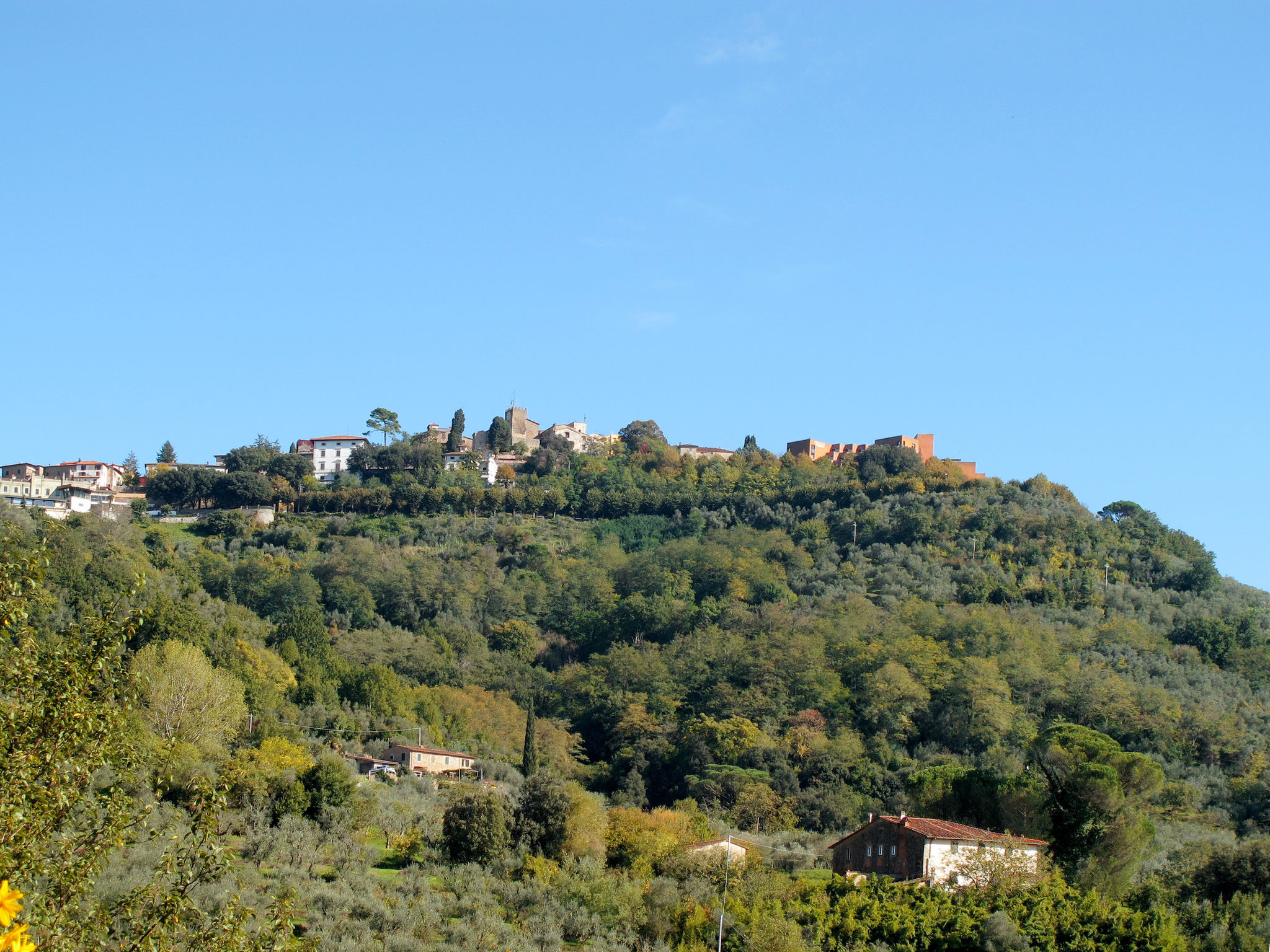 Deva-Area