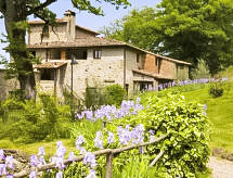 Apartment Villa Grassina