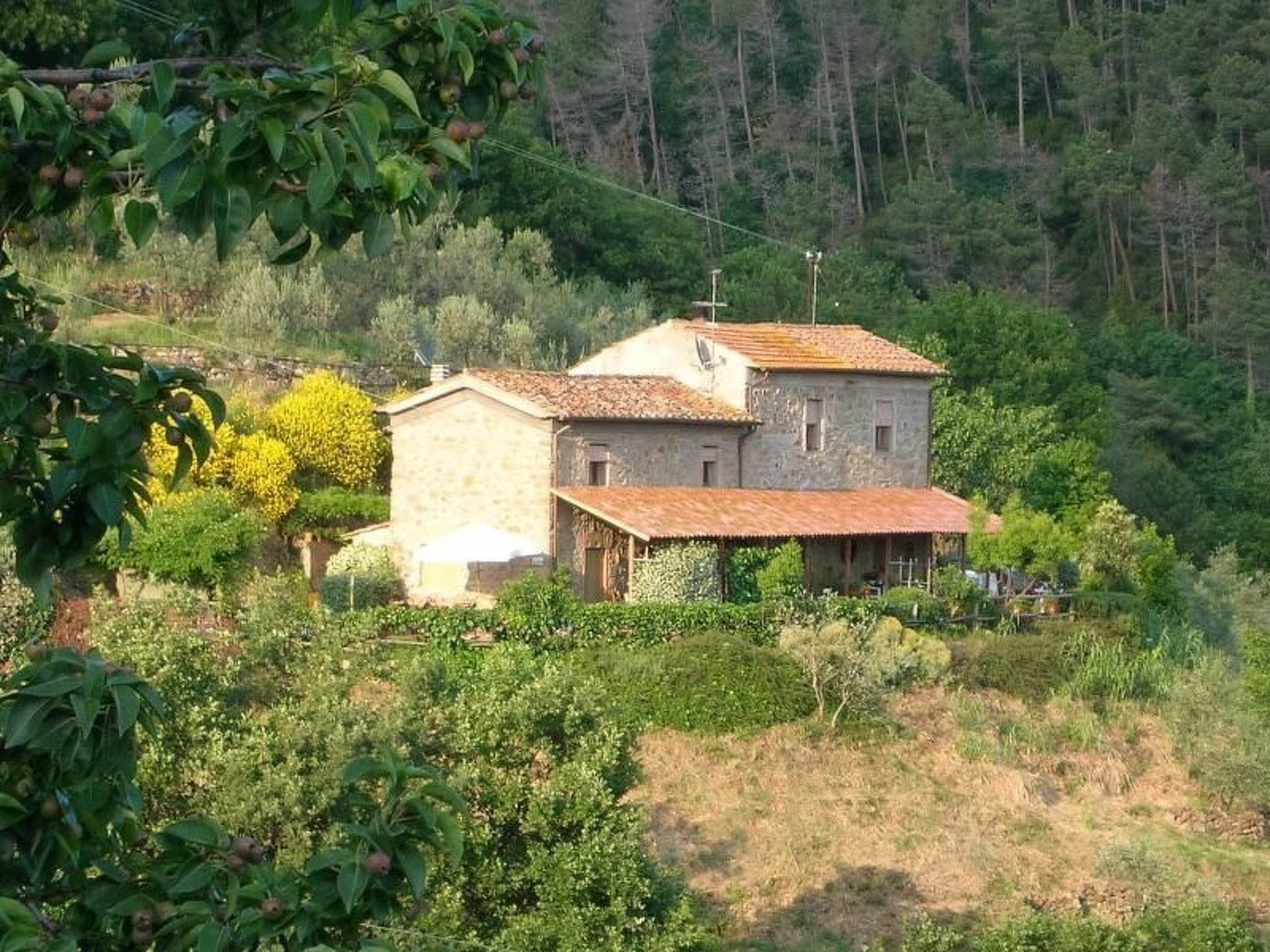 Vakantiehuis met privé zwembad in Vinci (Italië) voor 6 personen