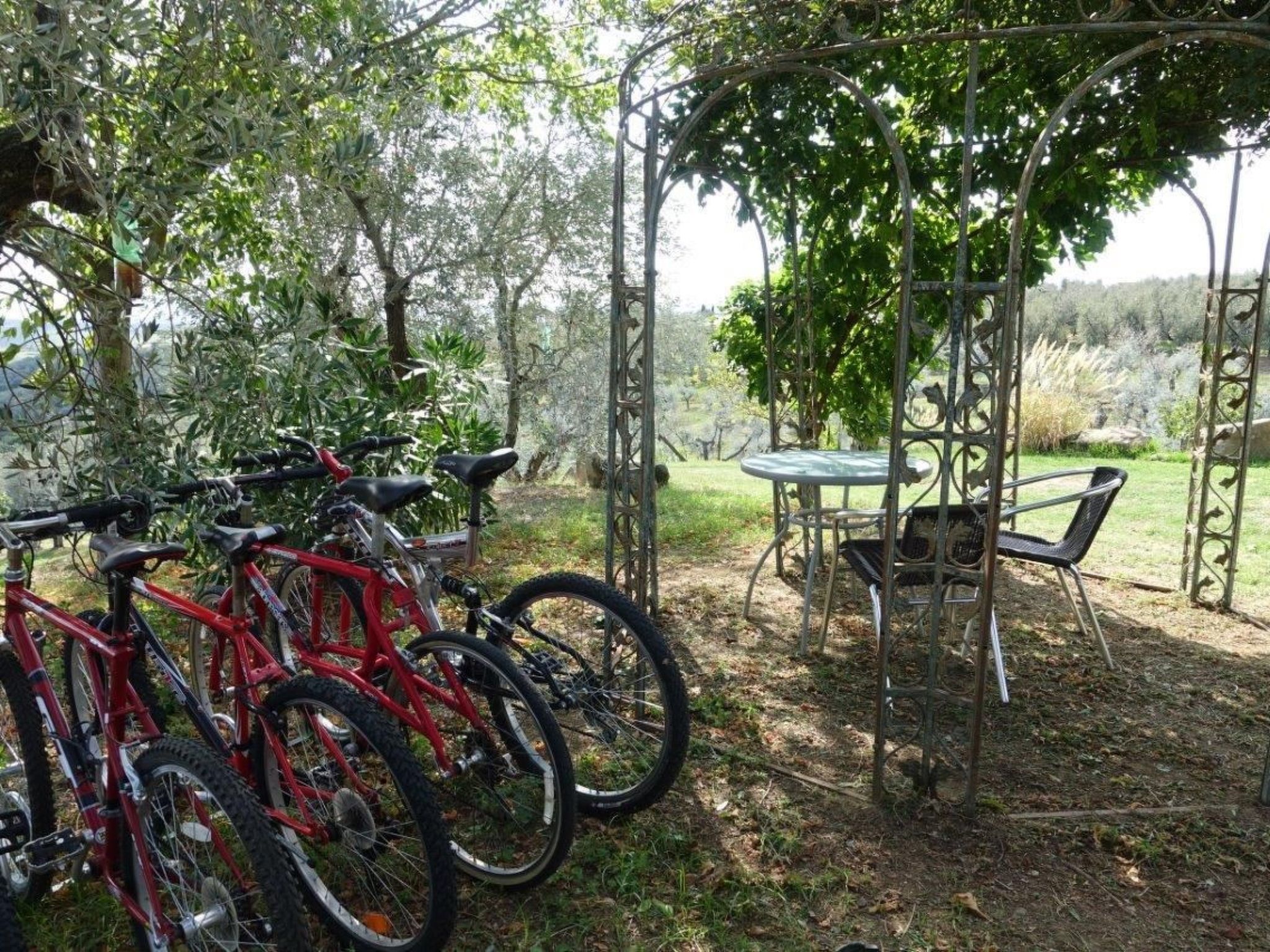 Wohnung in altem toskanischem Bauernhaus