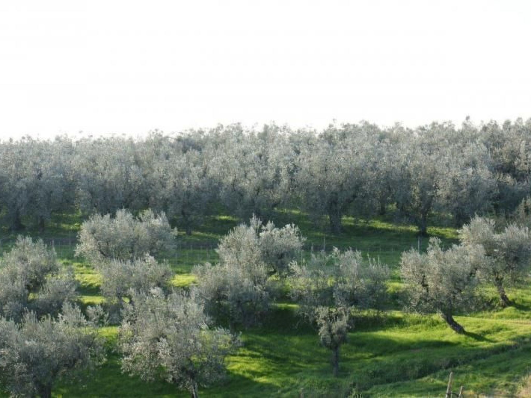 Wohnung in altem toskanischem Bauernhaus-Binnen