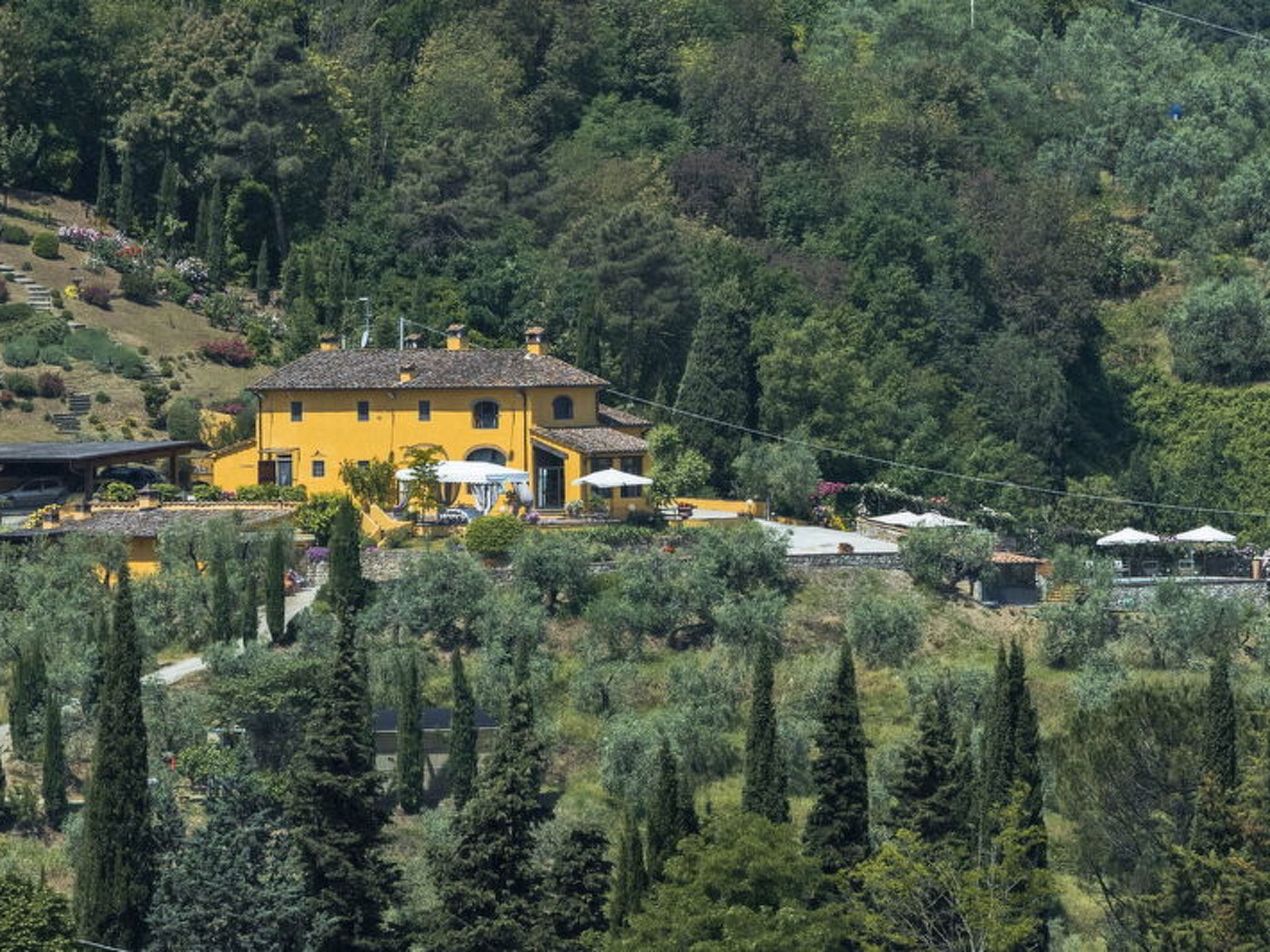 Villa Sandra Ortensia - Buiten