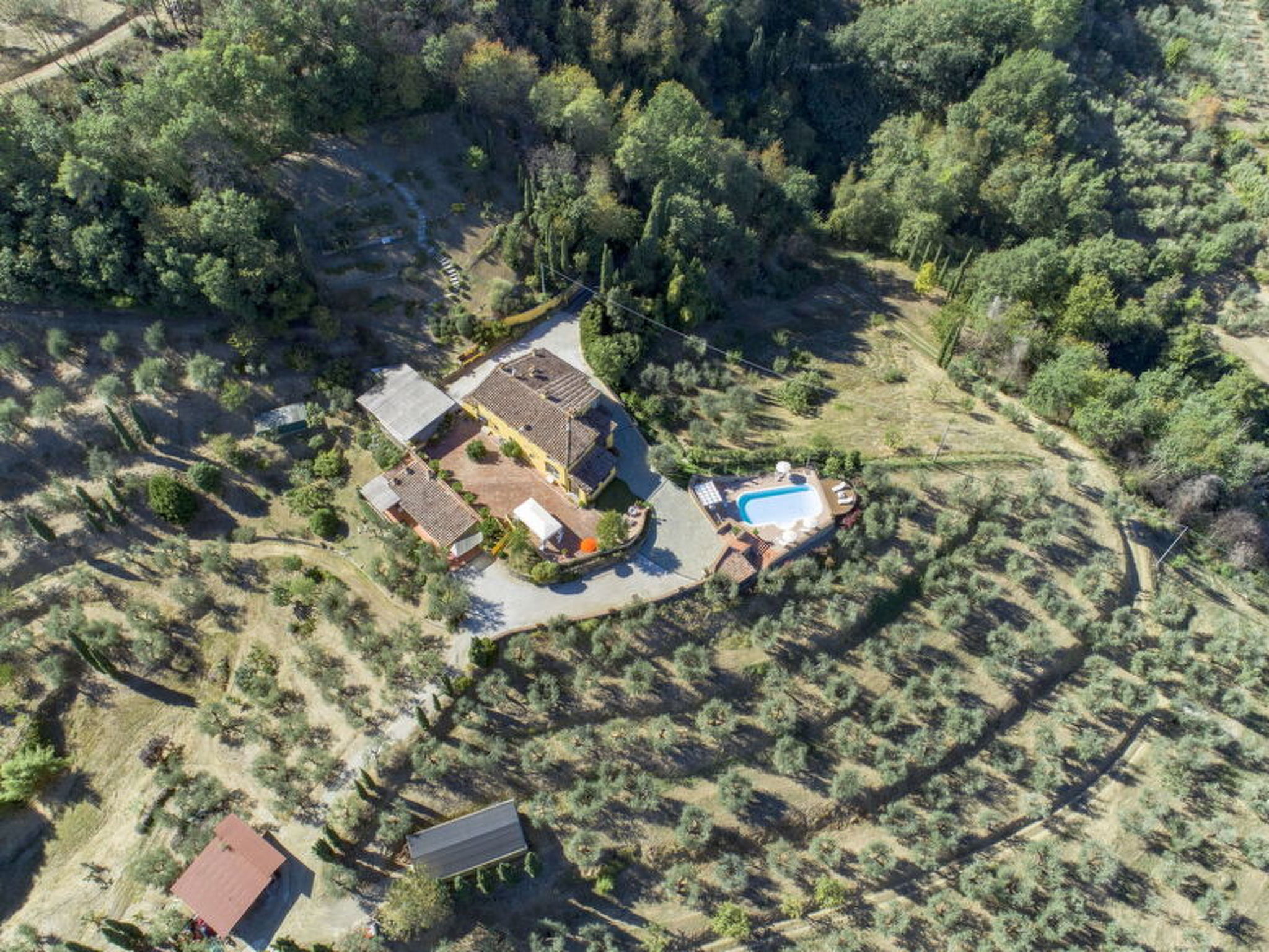 Villa Sandra Ortensia - Buiten
