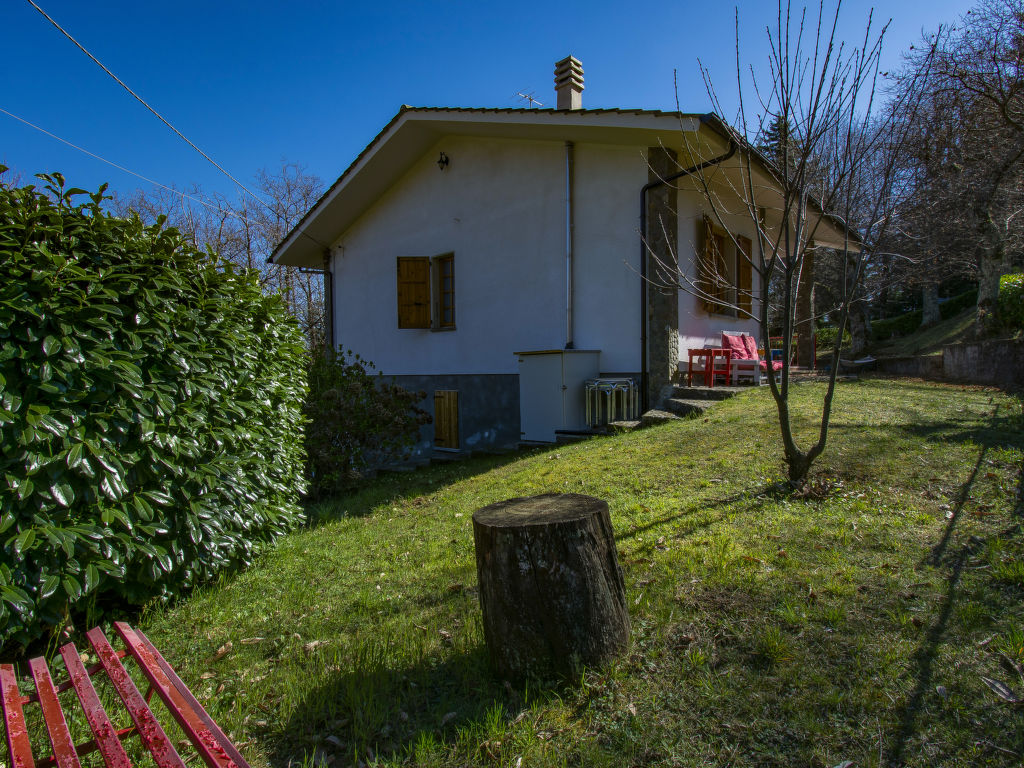 Bild 36