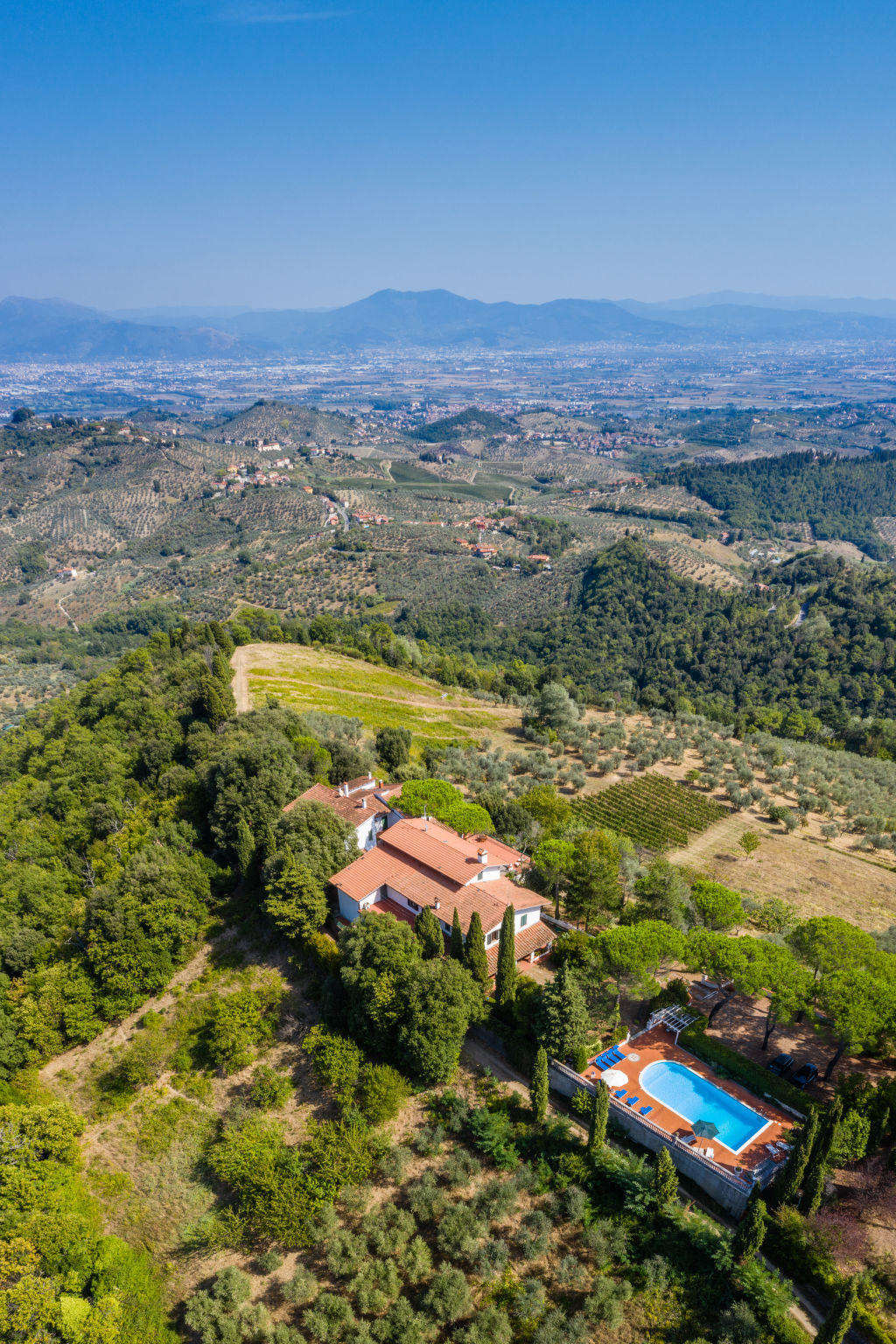 Historische villa tussen de wijngaarden met privézwembad bij Florence - foto 18