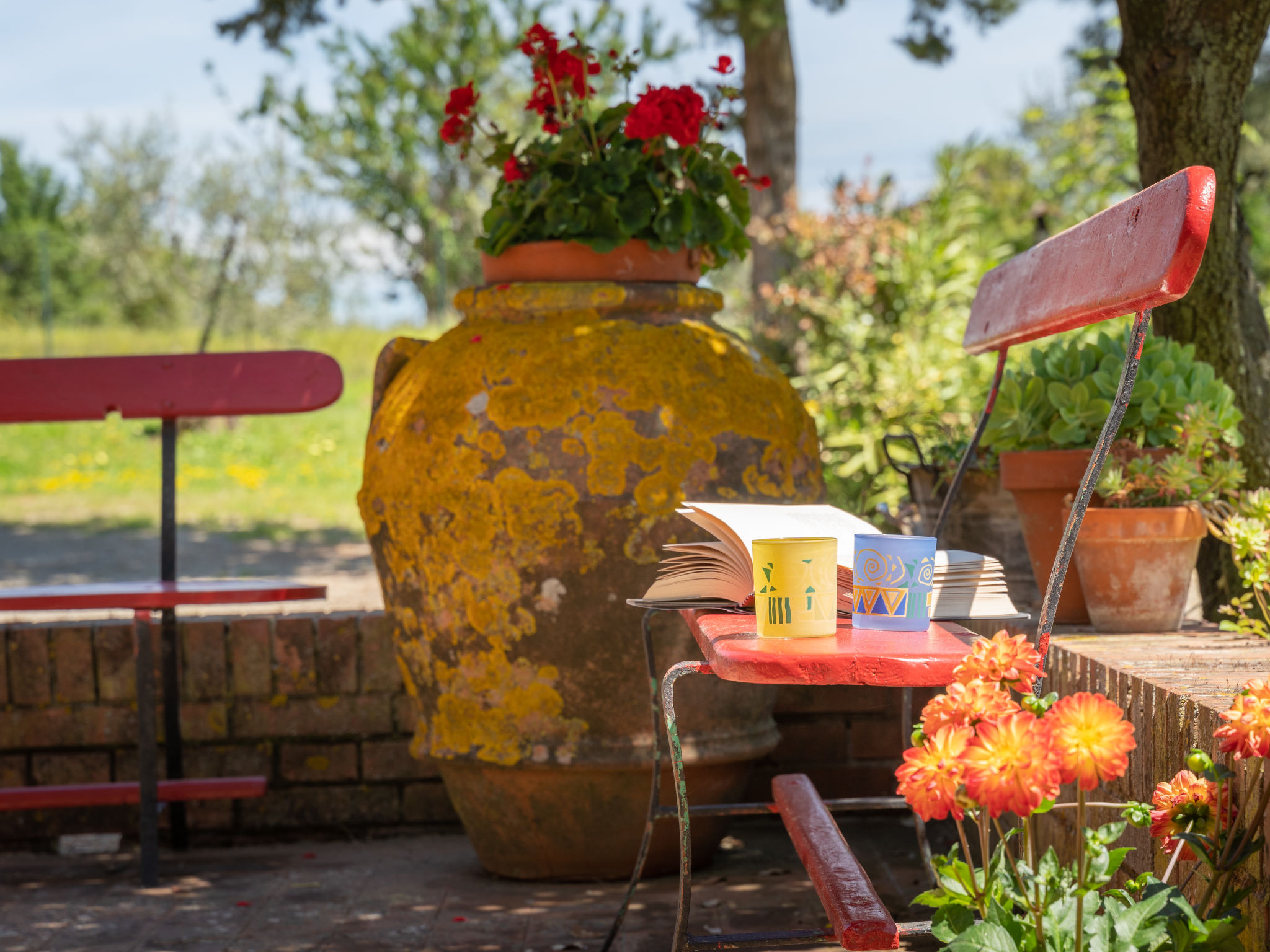 Photo of La Colonica