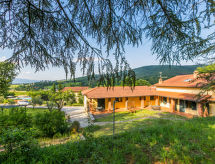 Ginestra