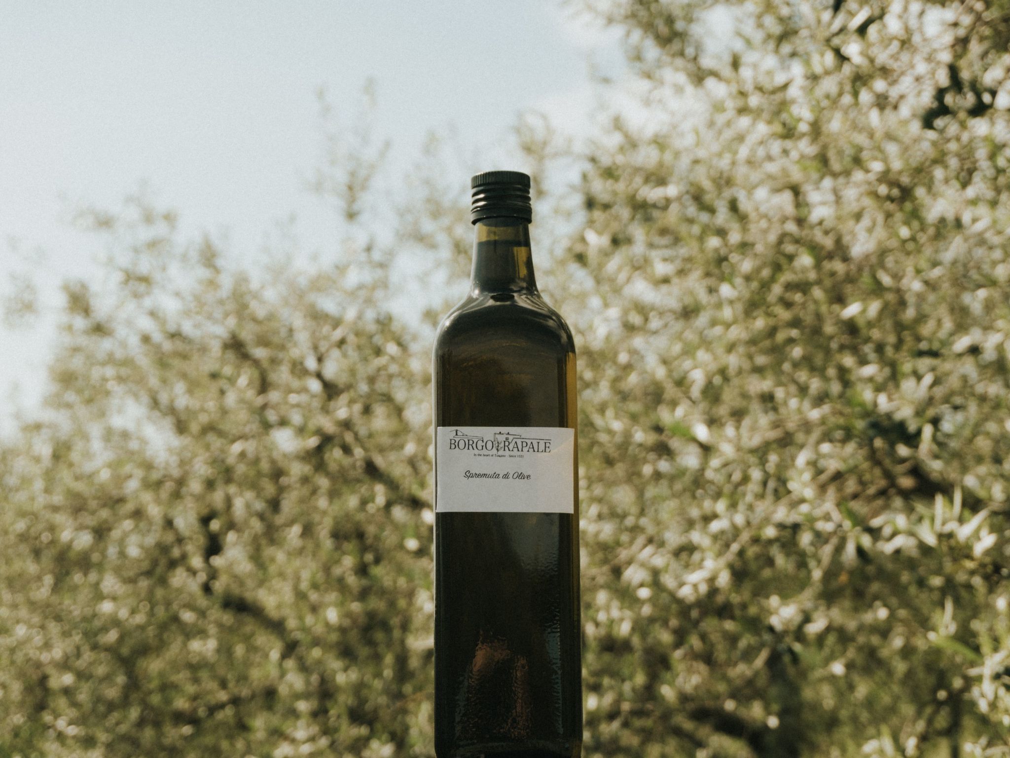 'Giovanni' mit Pool-Image-tags.info