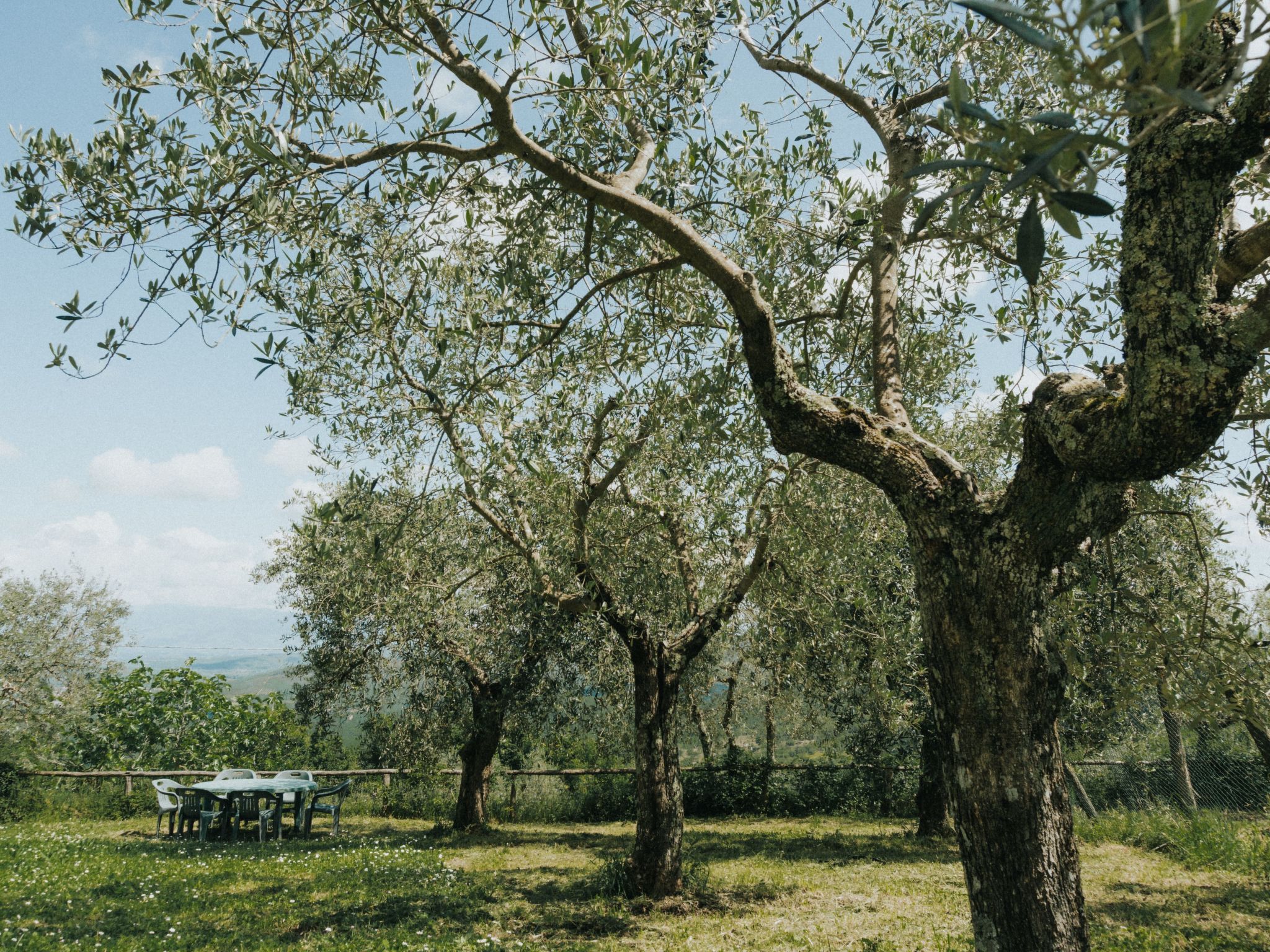 'Tommaso' mit Schwimmbad-Image-tags.info