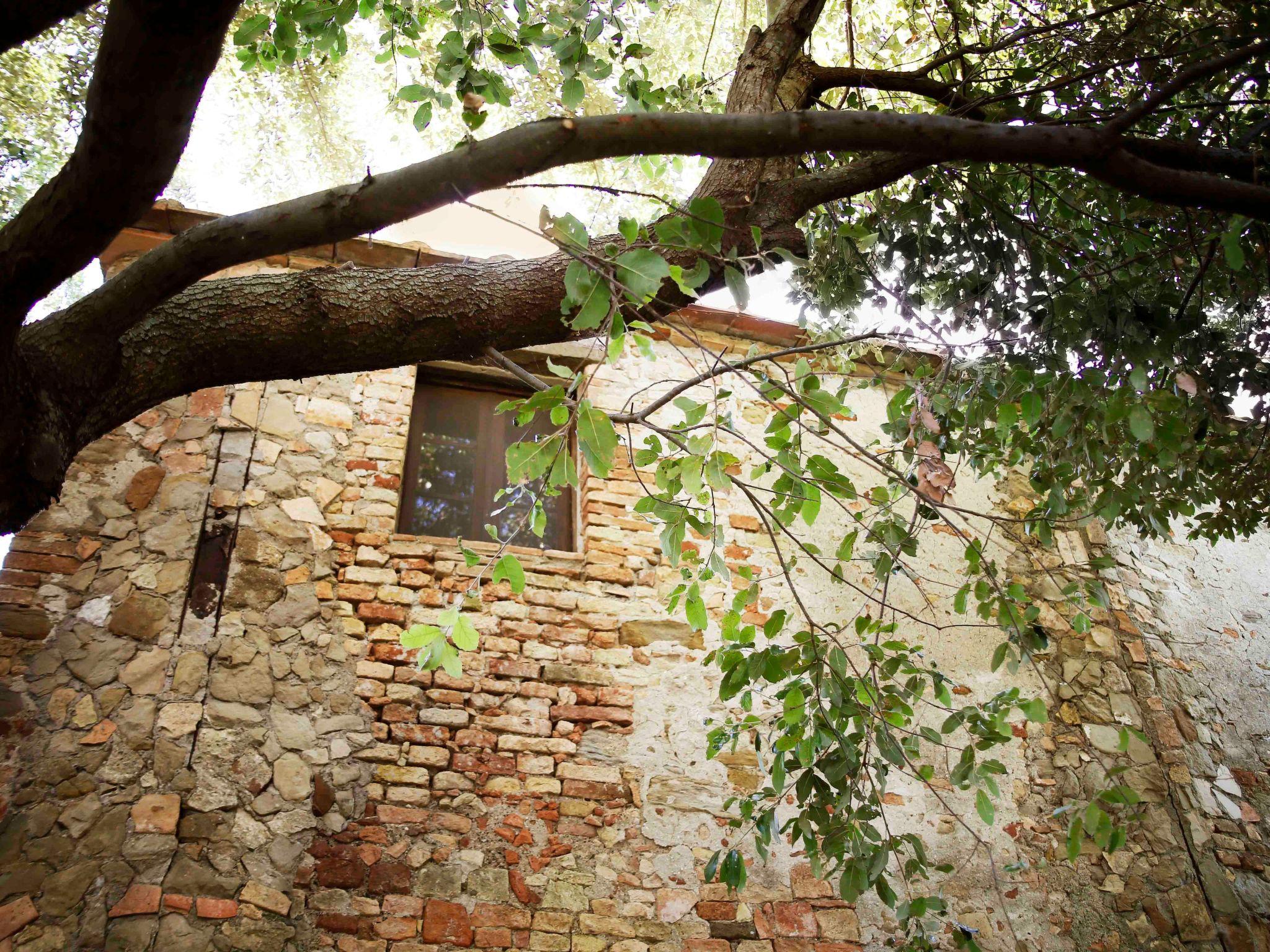 Casa Il Sàrperi in Montecatini Val di Cecina-Binnen