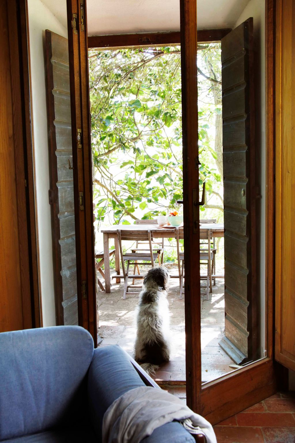 Casa Il Sàrperi in Montecatini Val di Cecina-Binnen