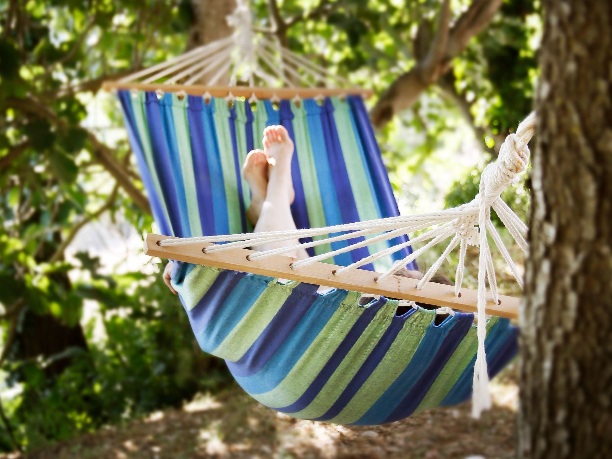 Casa Il Sàrperi in Montecatini Val di Cecina-Binnen