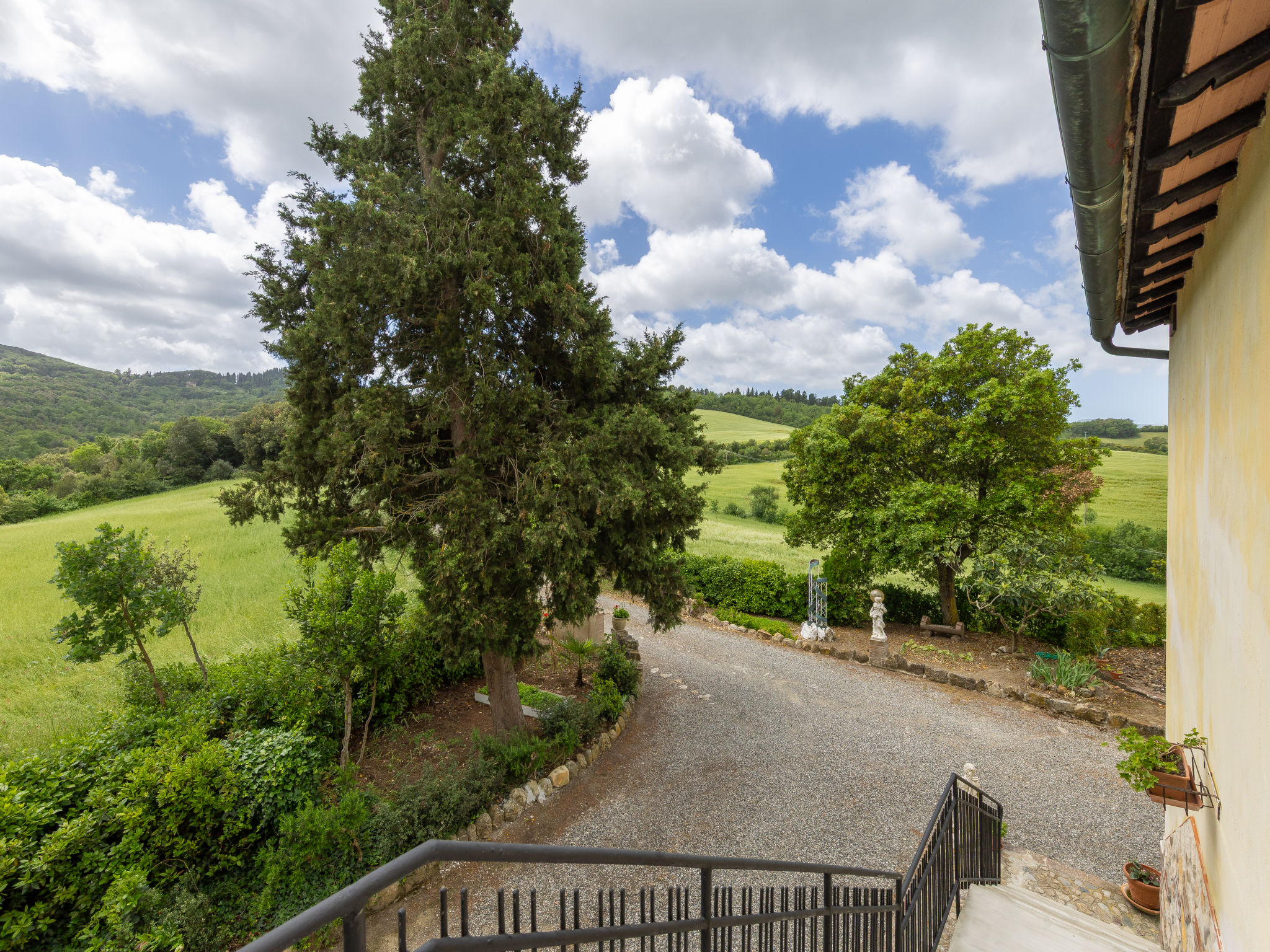 Podere Sant'Antonio - Buiten