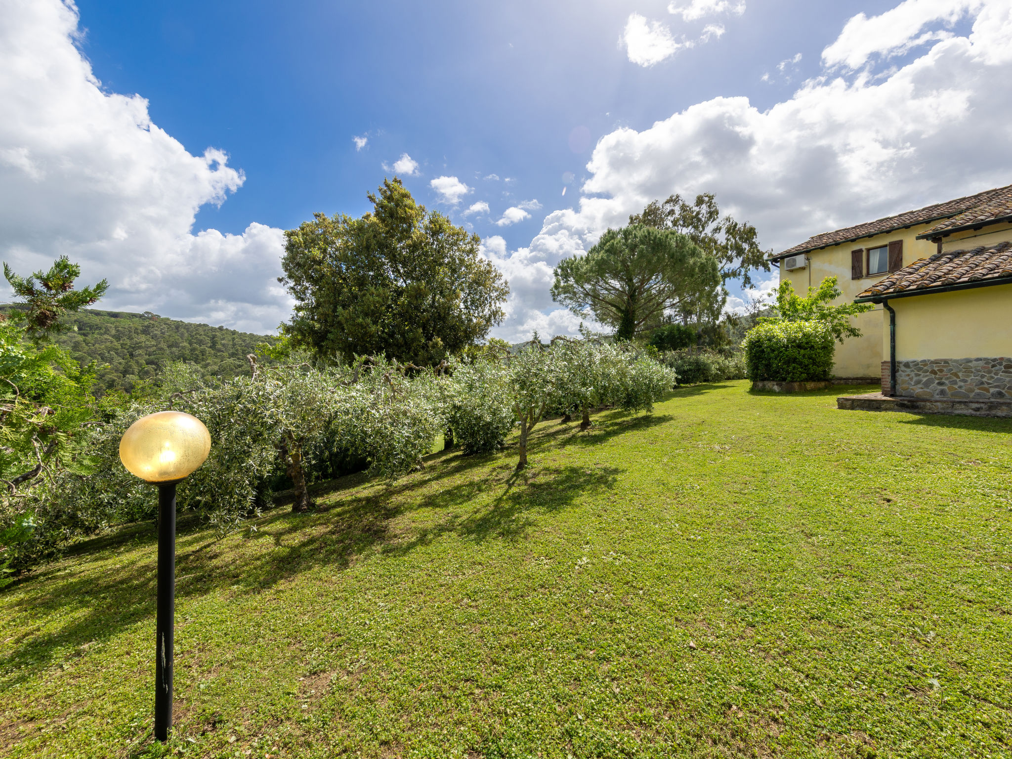 Podere Sant'Antonio - Buiten