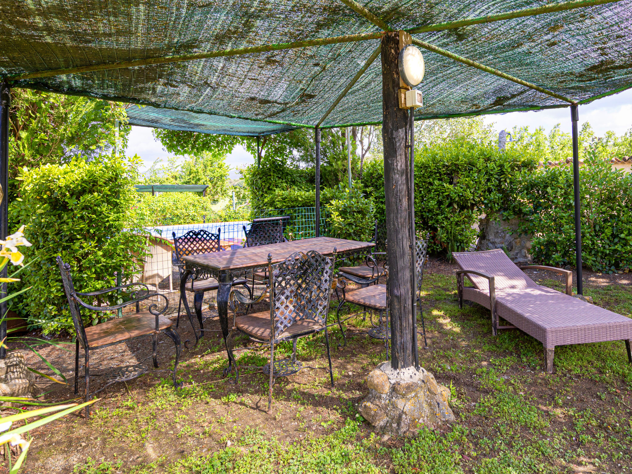 Podere Sant'Antonio - Buiten