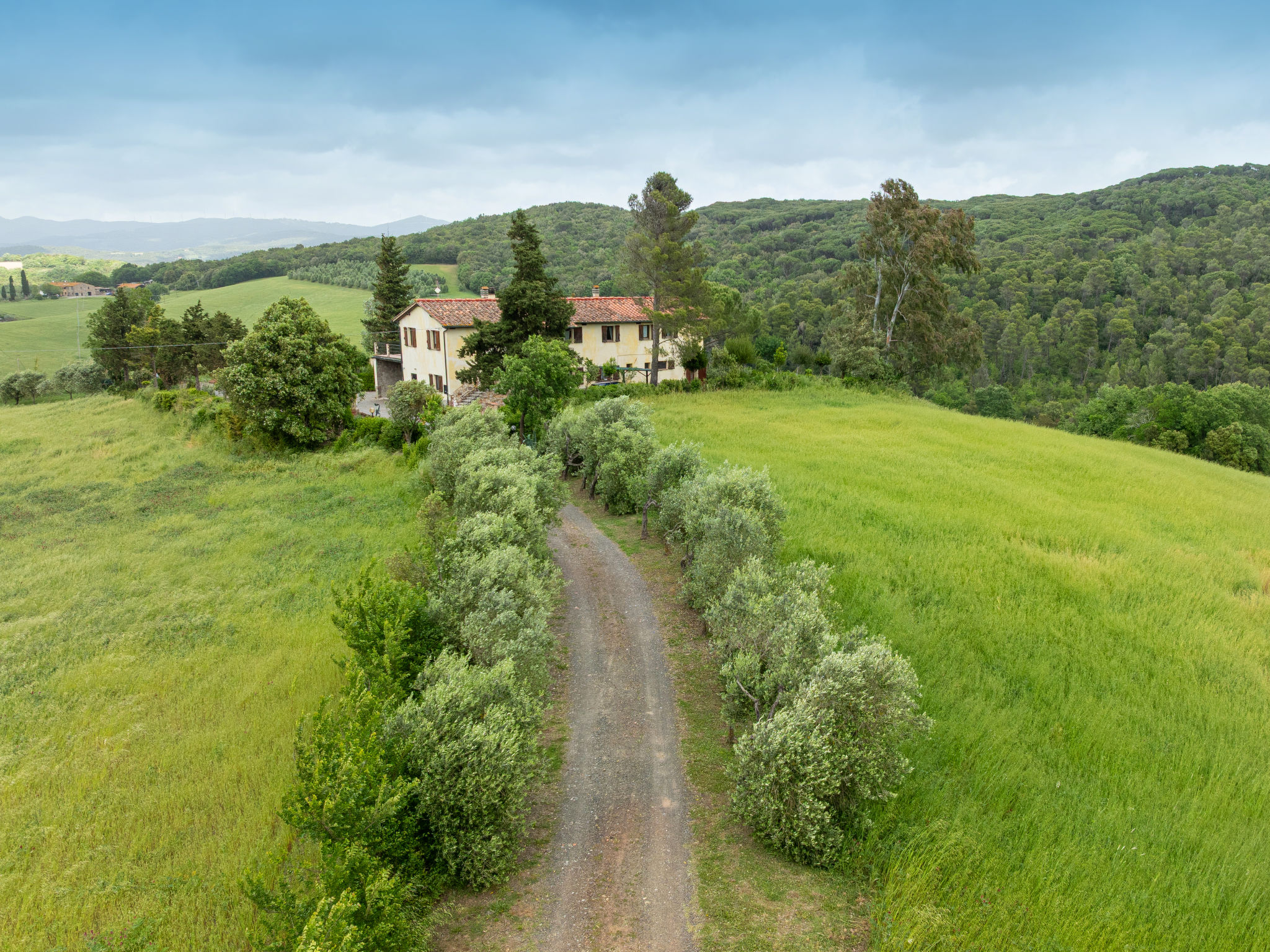 Podere Sant'Antonio - Buiten