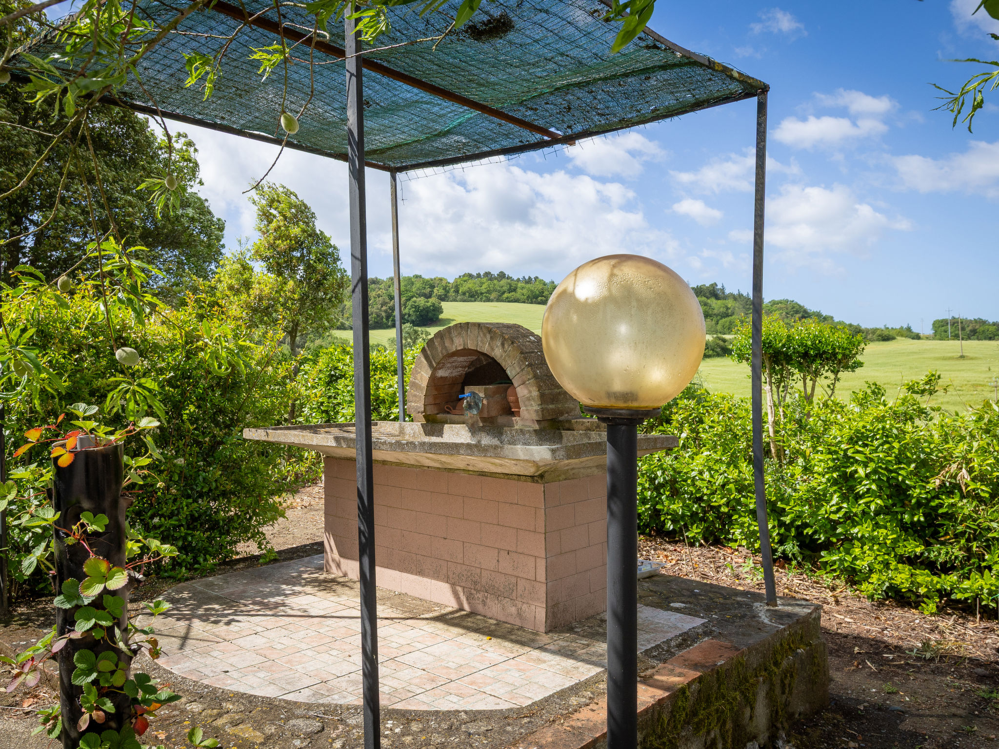 Podere Sant'Antonio - Buiten