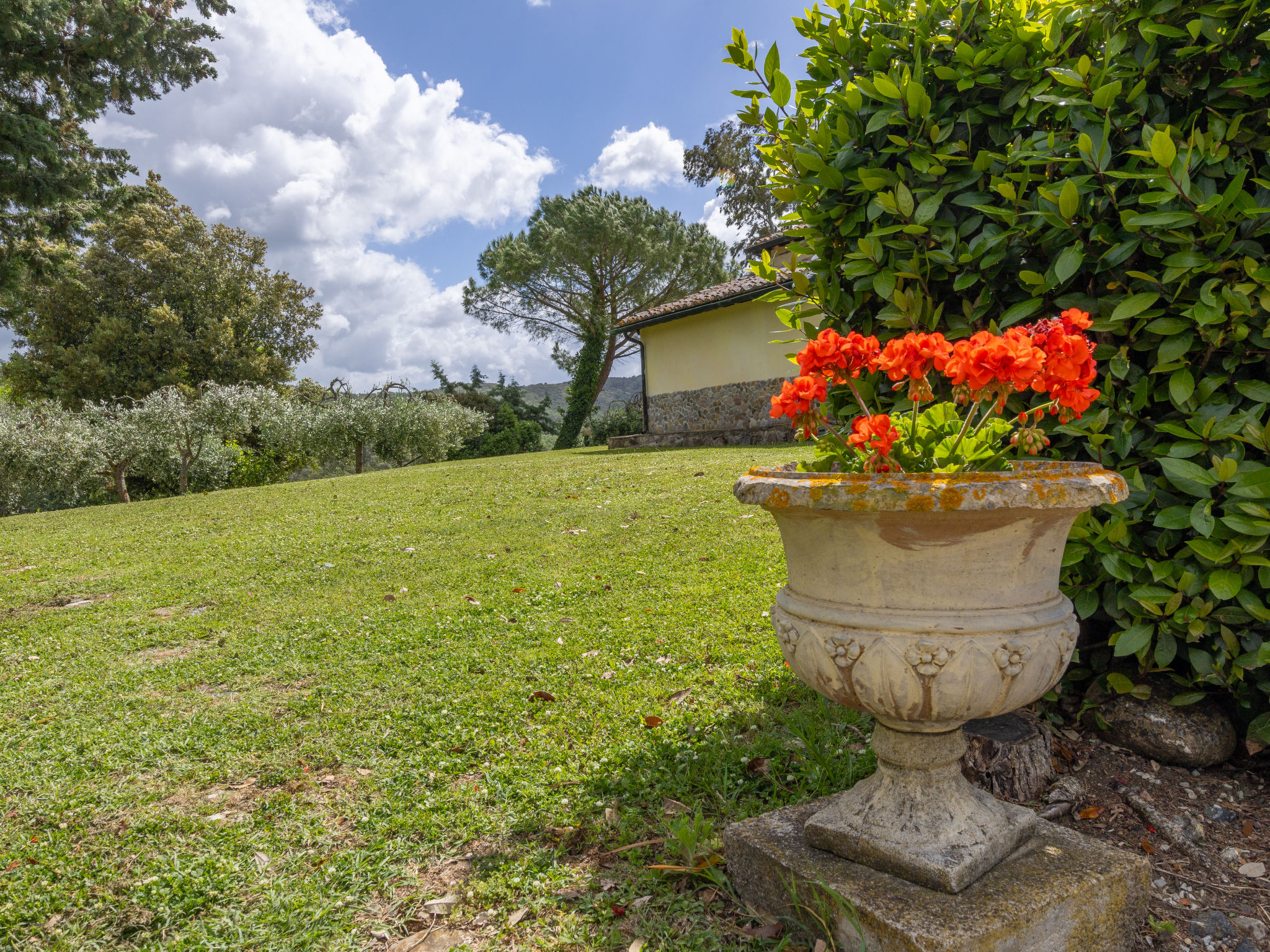 Podere Sant'Antonio - Buiten