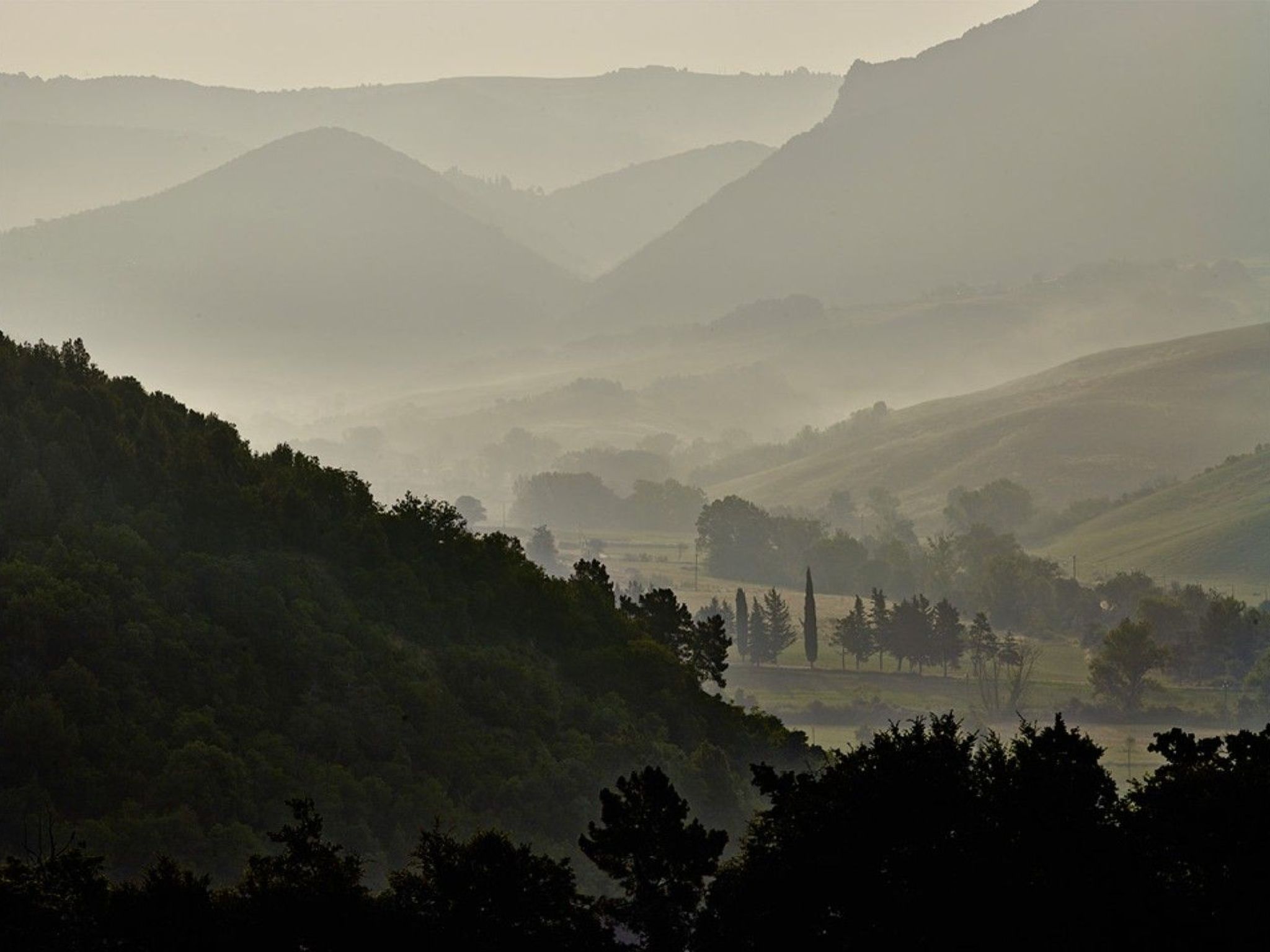 La Stalla-Image-tags.info