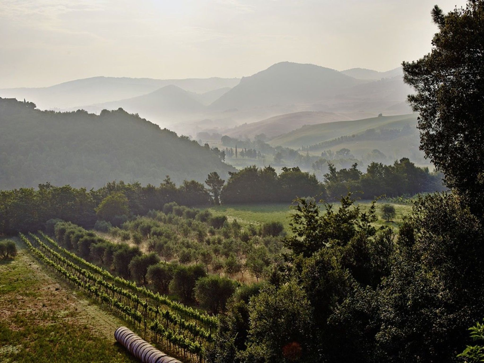 La Stalla-Image-tags.info