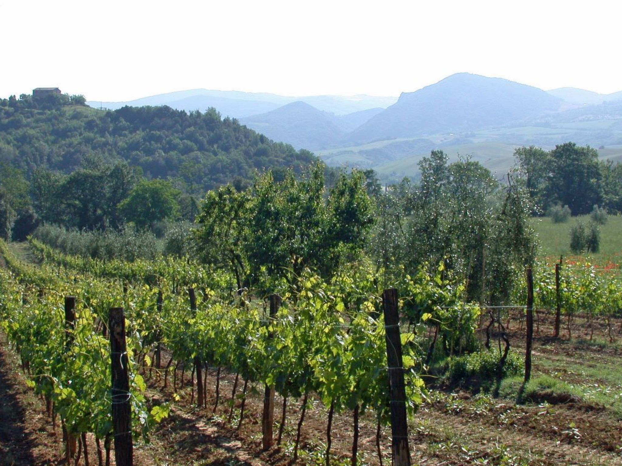 L'Angolo-Image-tags.info