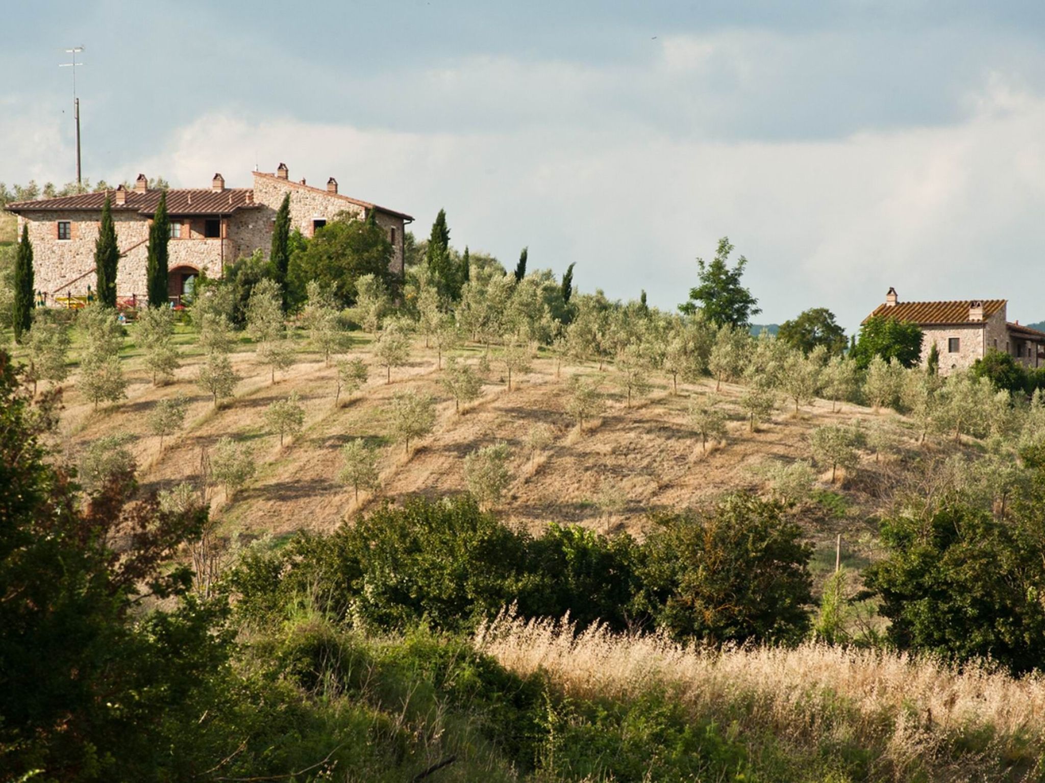 Wohnung "Tulip" mit Gemeinschaftspool-Image-tags.info