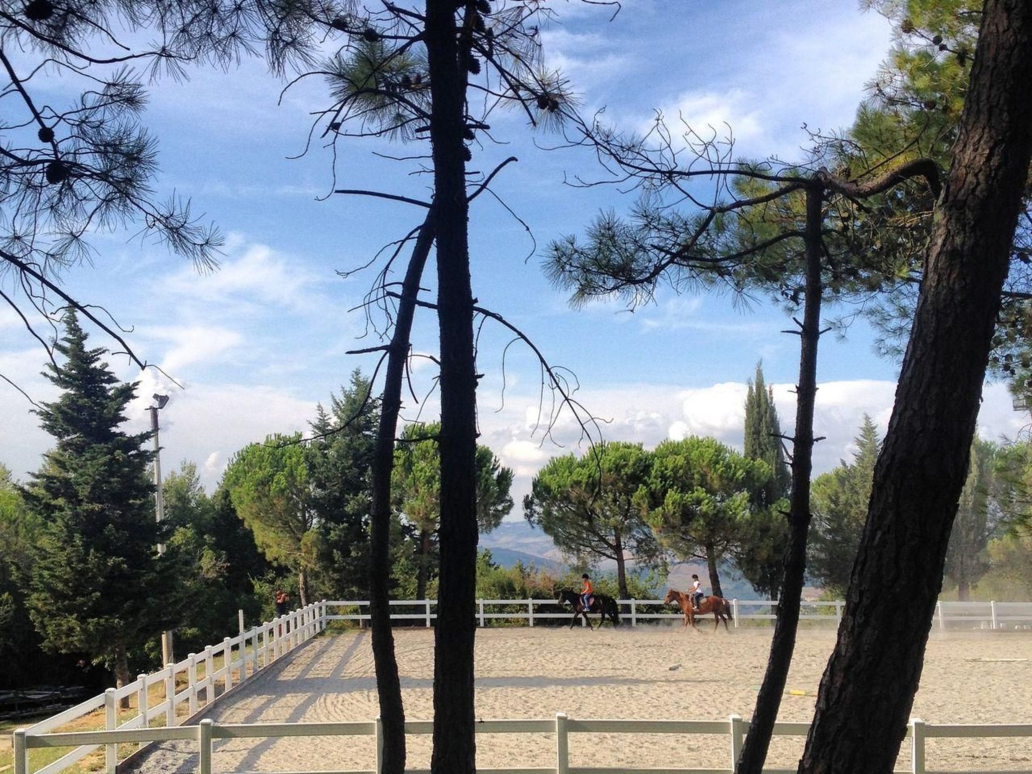 Wohnung "Villa Famiglia3" mit Pool-Binnen