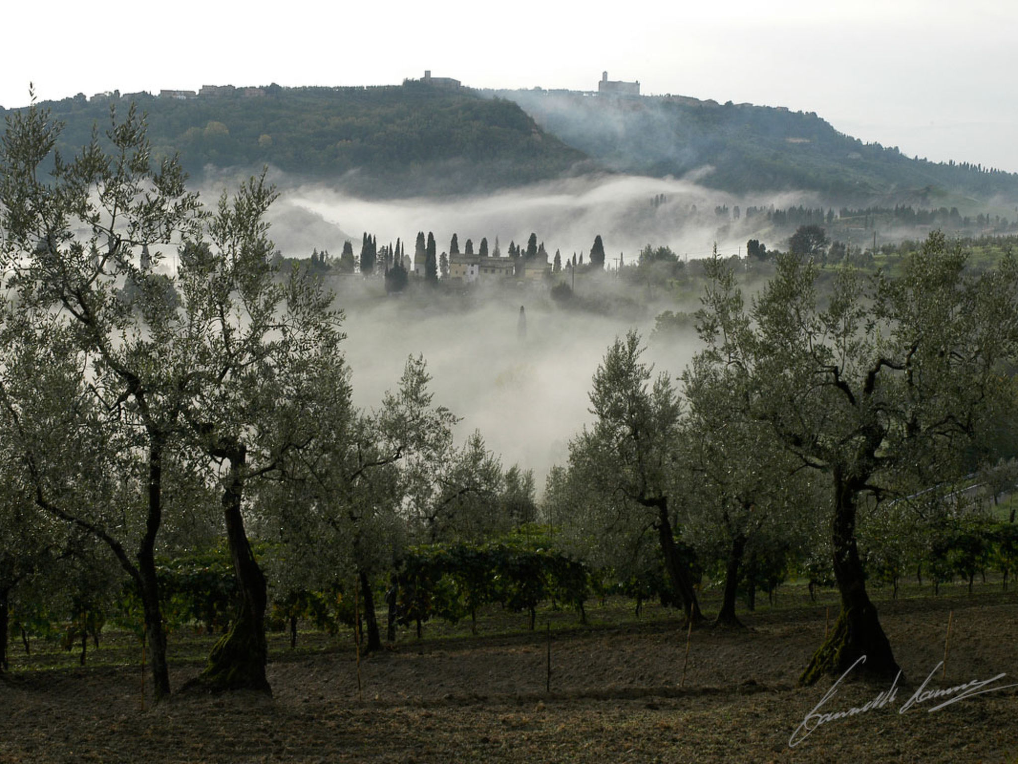 Villaflair - Volterra Pool Villa — Place (5 of 6)