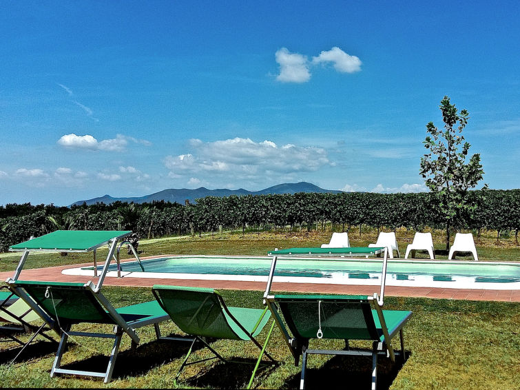 Pisa Toscana (GVS122)