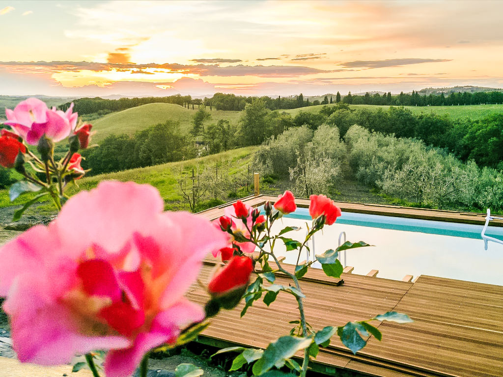 Ferienwohnung Podere La Torre Ferienwohnung in Certaldo