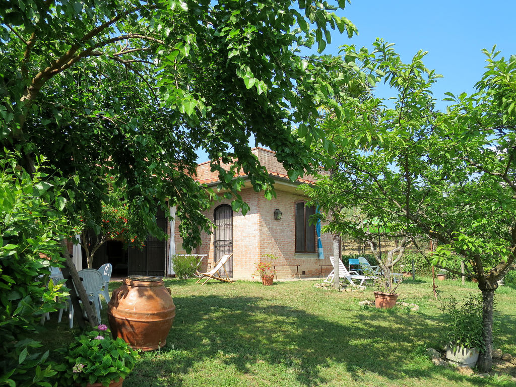 Podere Conte Francesco-La Palma