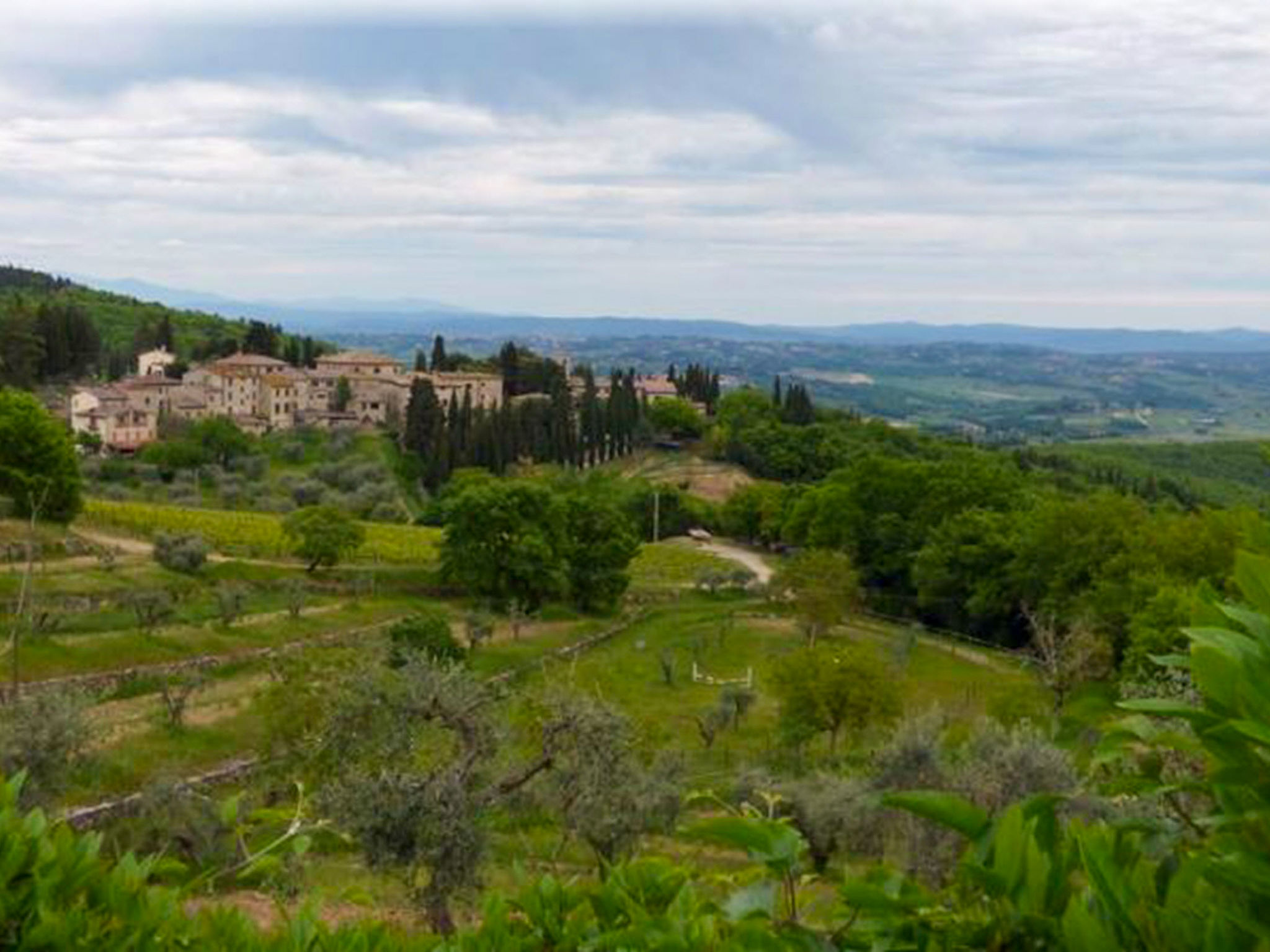 Cerretino Vigna-Omgeving