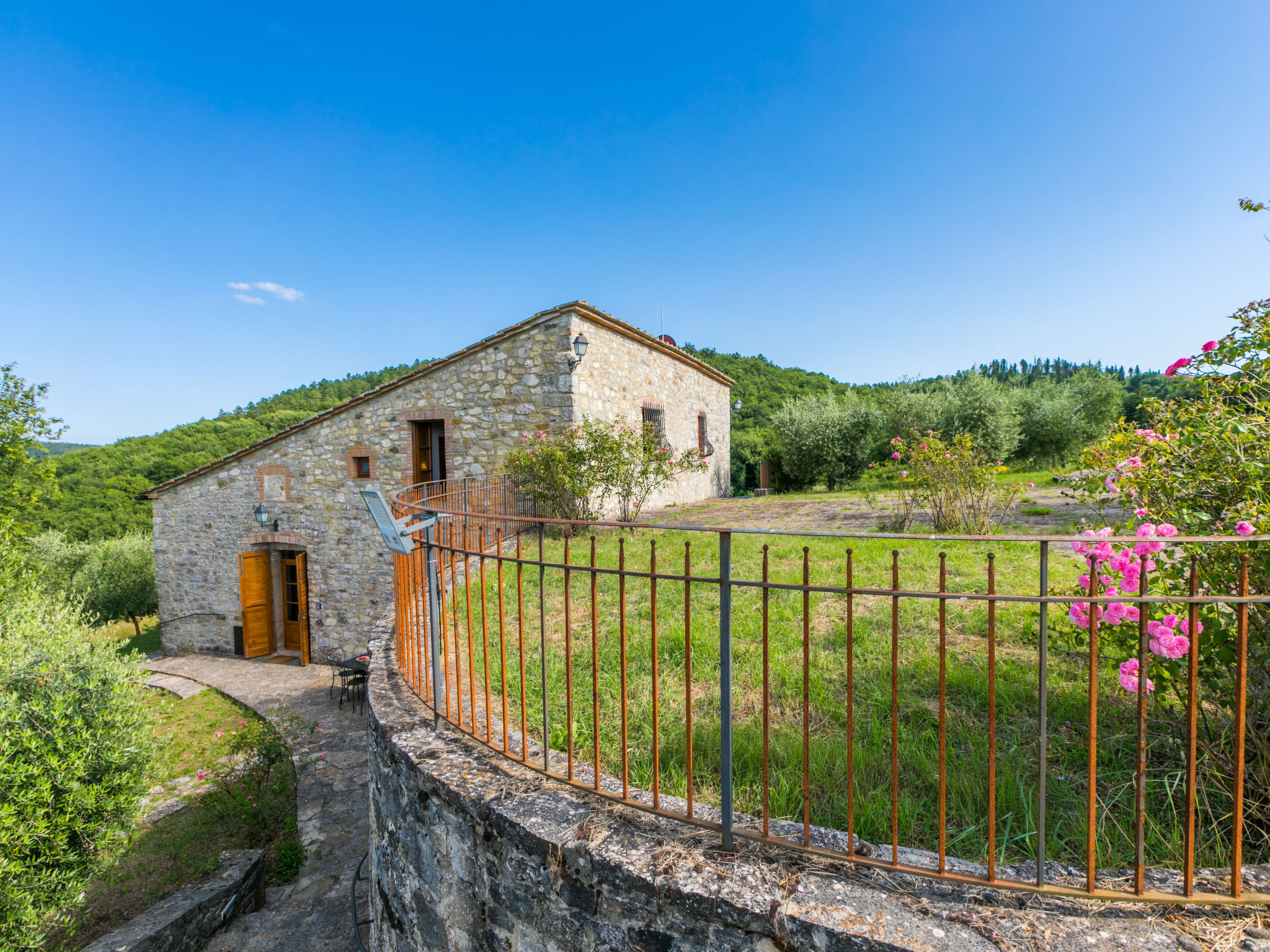 Cerretino Oliveto - Image 2