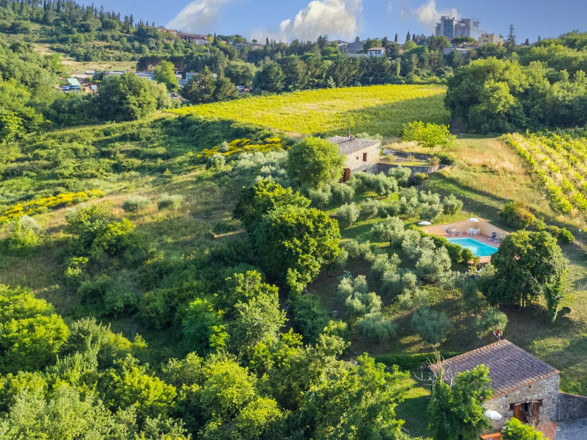 Ferme Cerretino Oliveto – Vue aérienne, photo 25 sur 47