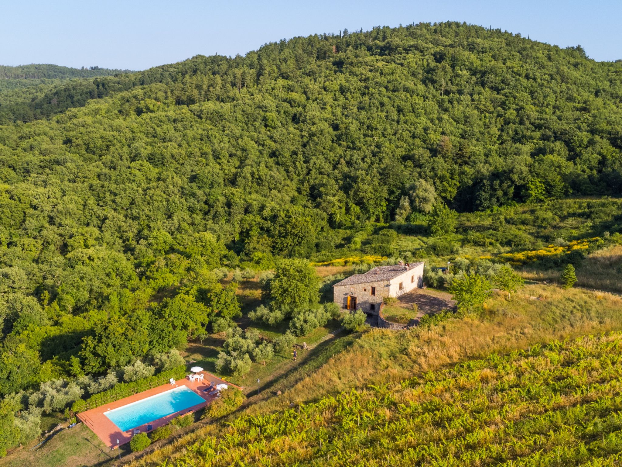 Ferme Cerretino Oliveto – Vue aérienne, photo 39 sur 47