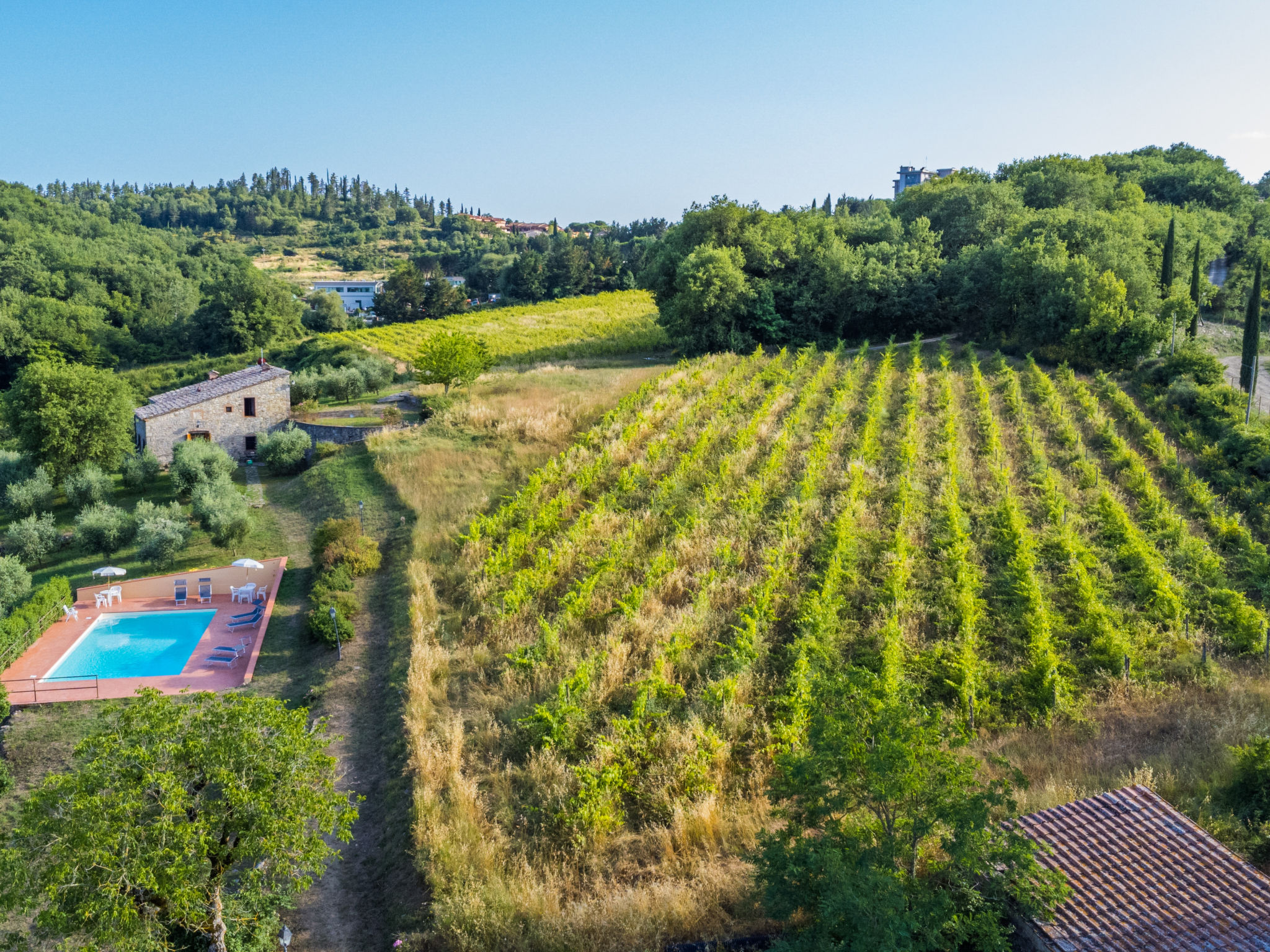 Ferme Cerretino Oliveto – Vue aérienne, photo 36 sur 47