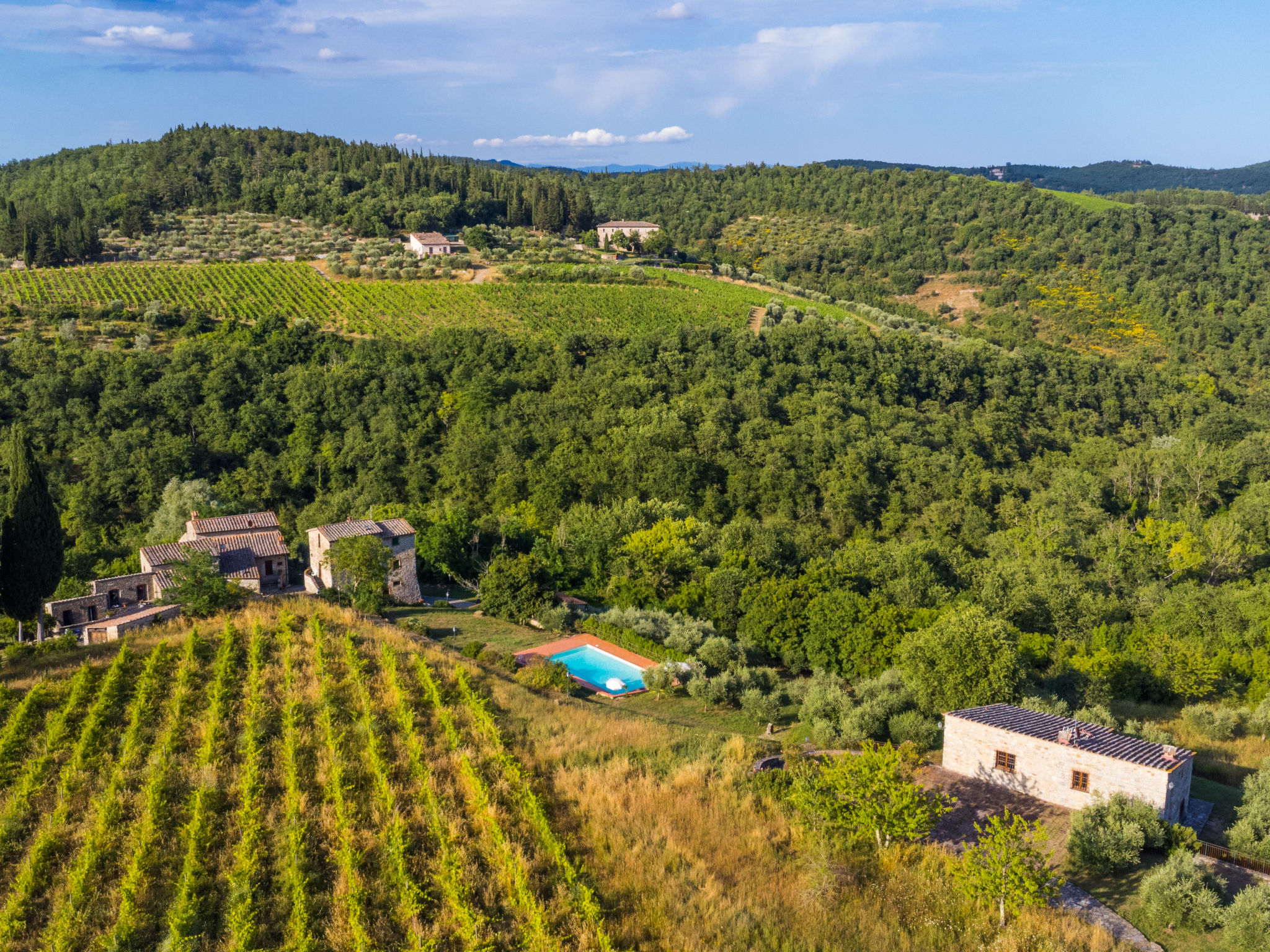 Ferme Cerretino Oliveto – Vue aérienne, photo 35 sur 47