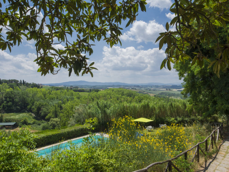 IT-TOS-0343 Castellina in Chianti