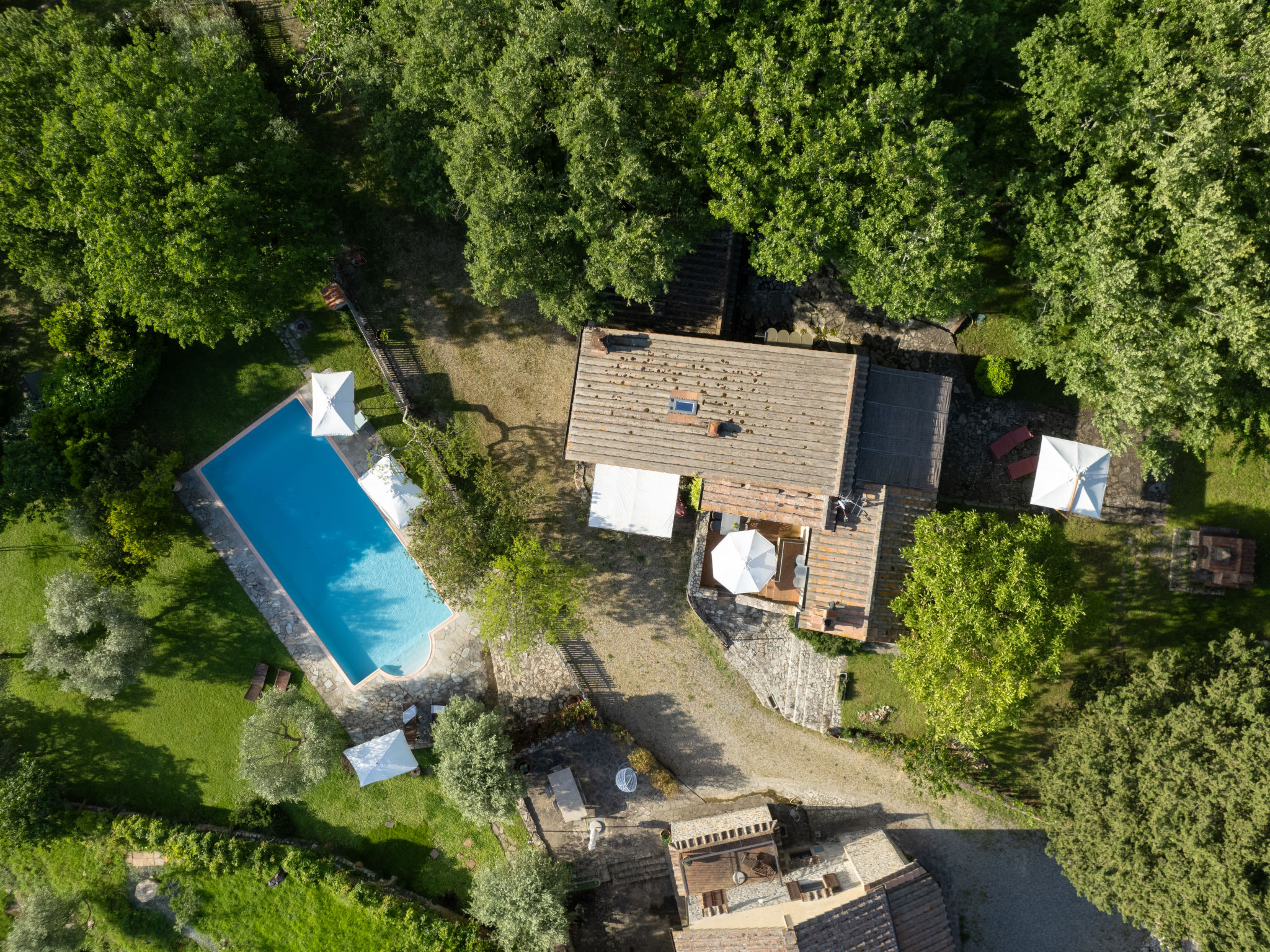 Ferme Olimpia – Vue aérienne, photo 33 sur 38